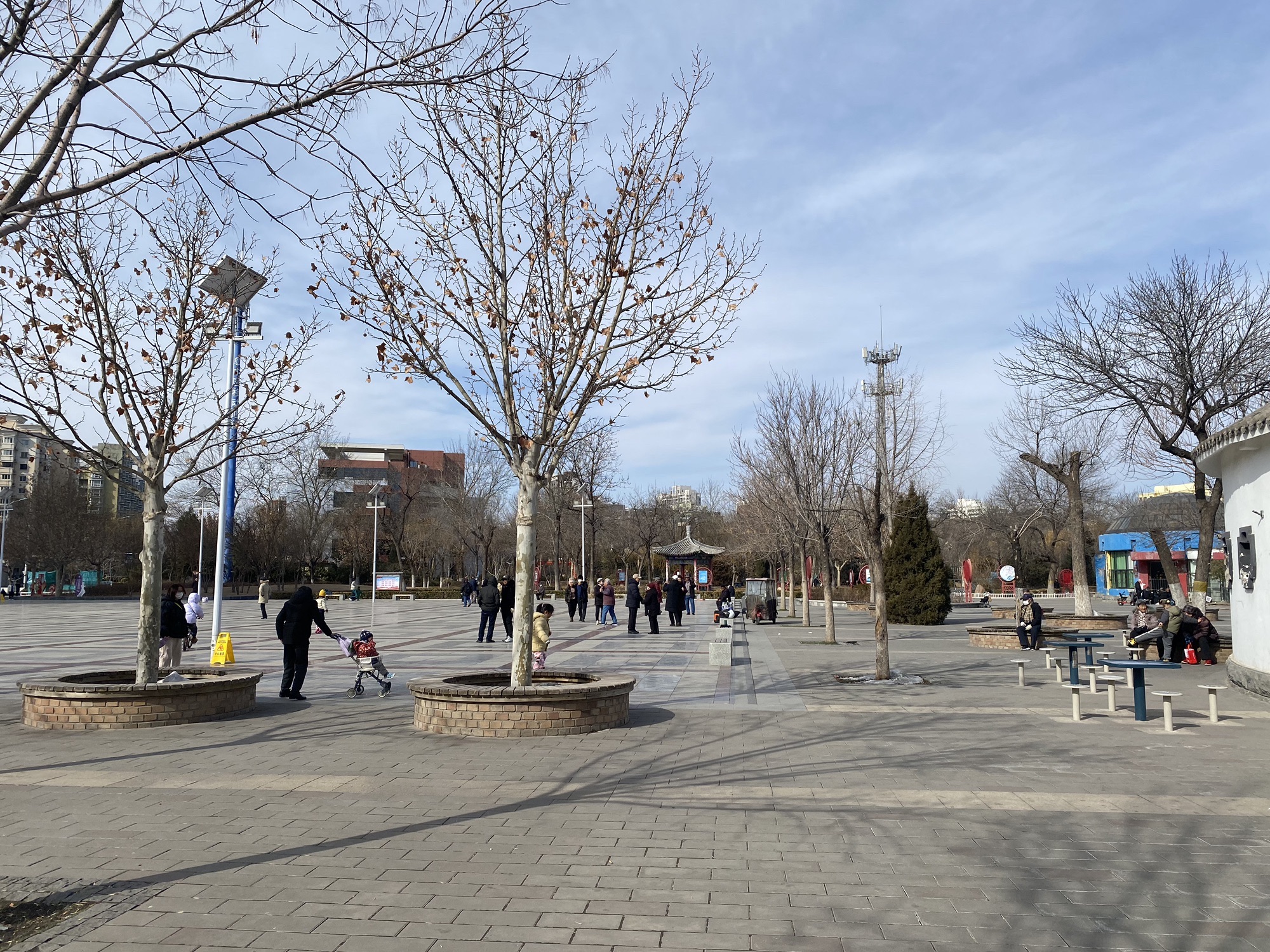 南开公园旅行图片 2