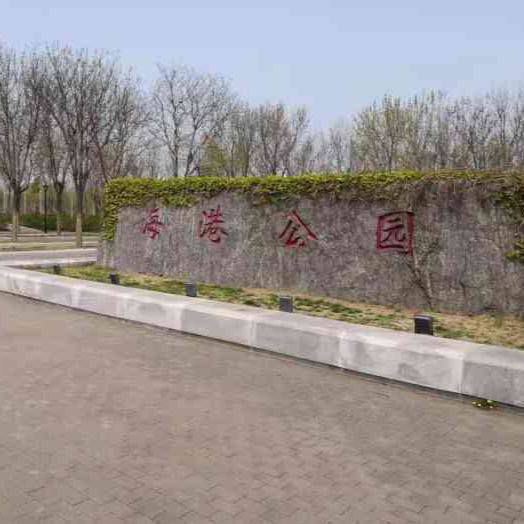 大港公园旅行图片 1