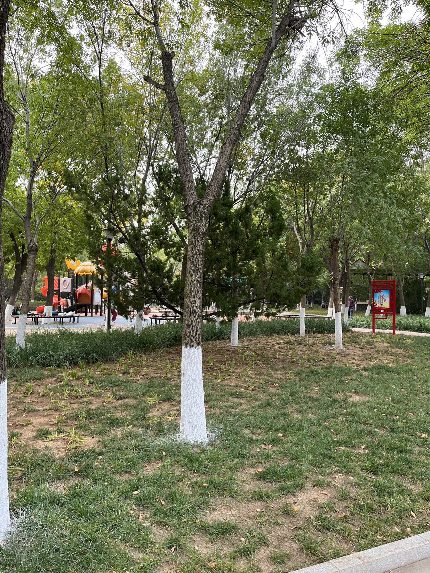 大港公园旅行图片 3