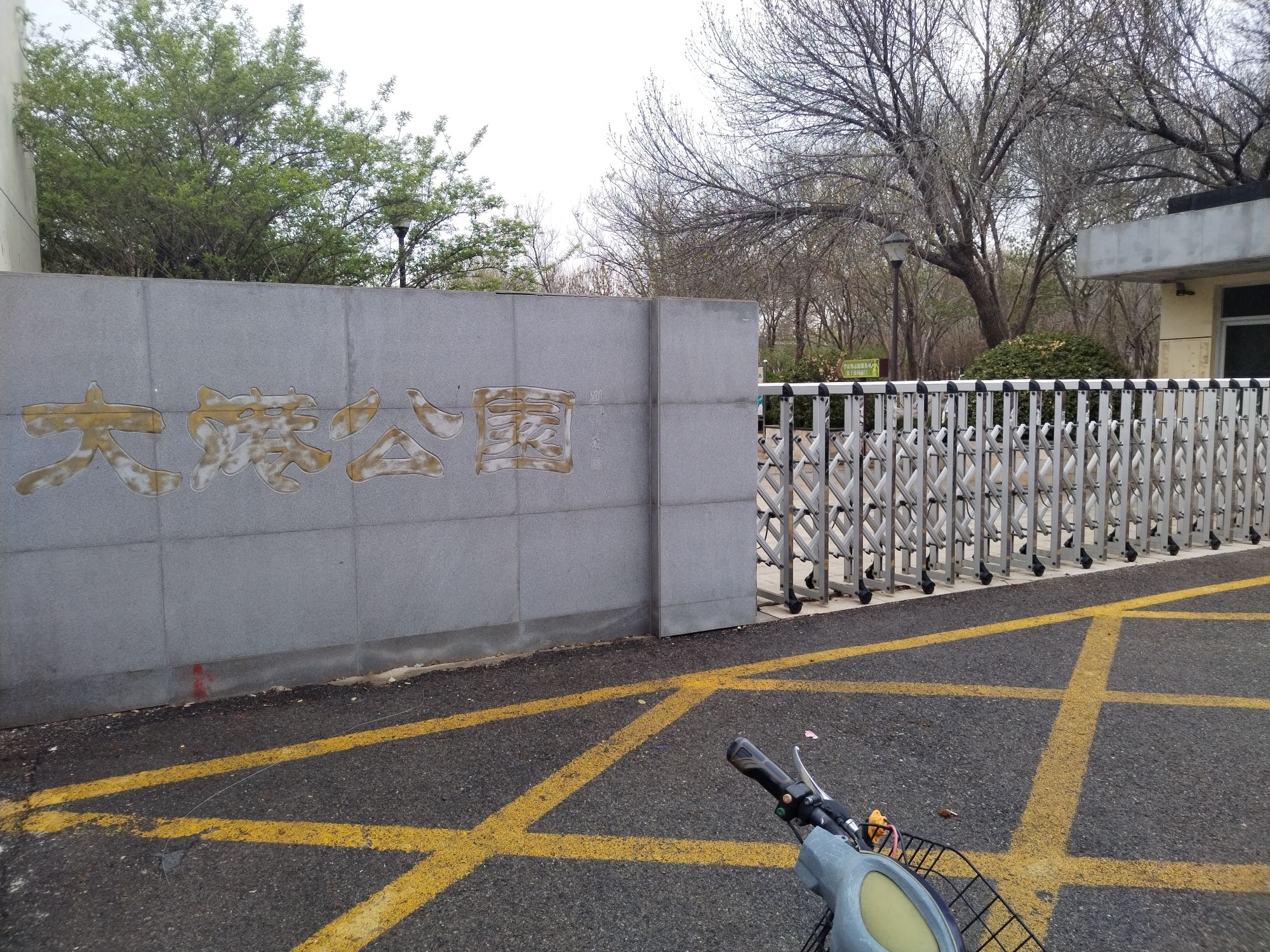 大港公园旅行图片 1