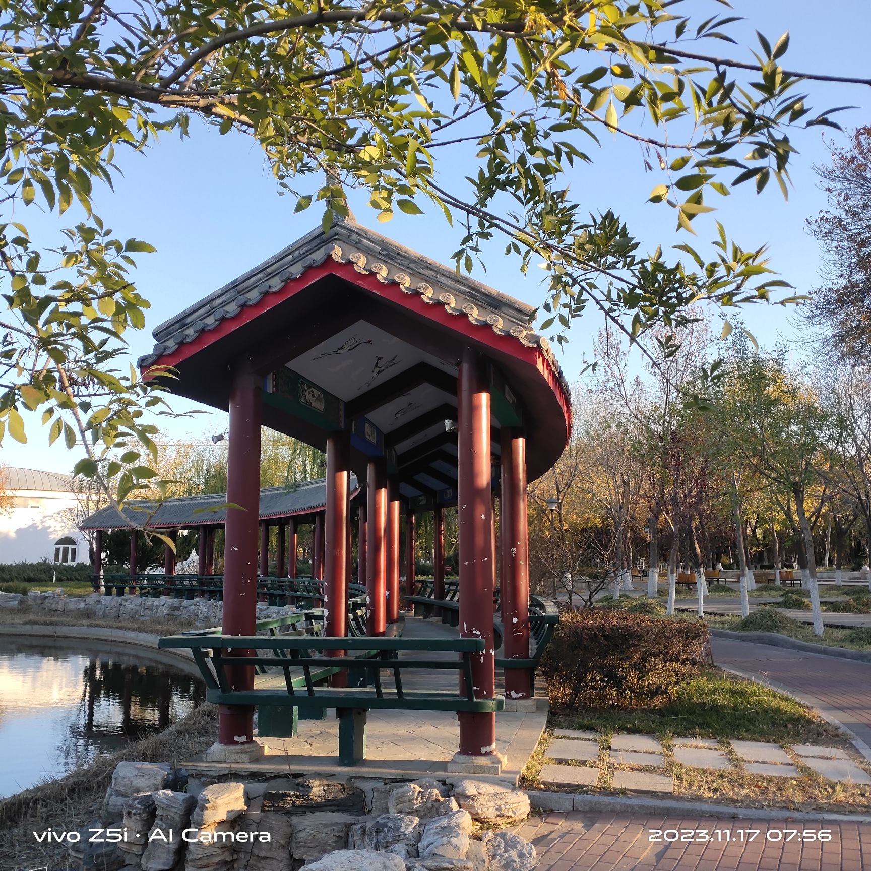 大港公园旅行图片 1