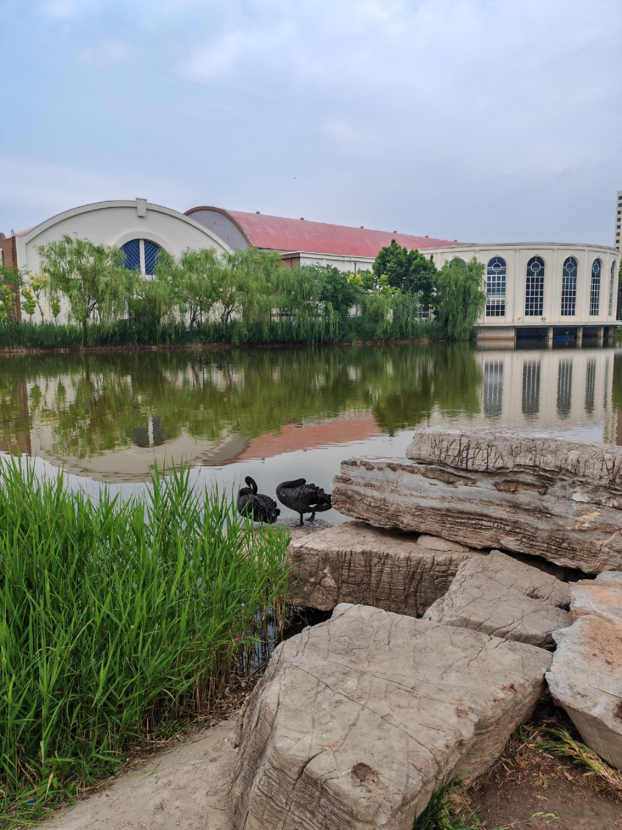 二宫公园旅行图片 3