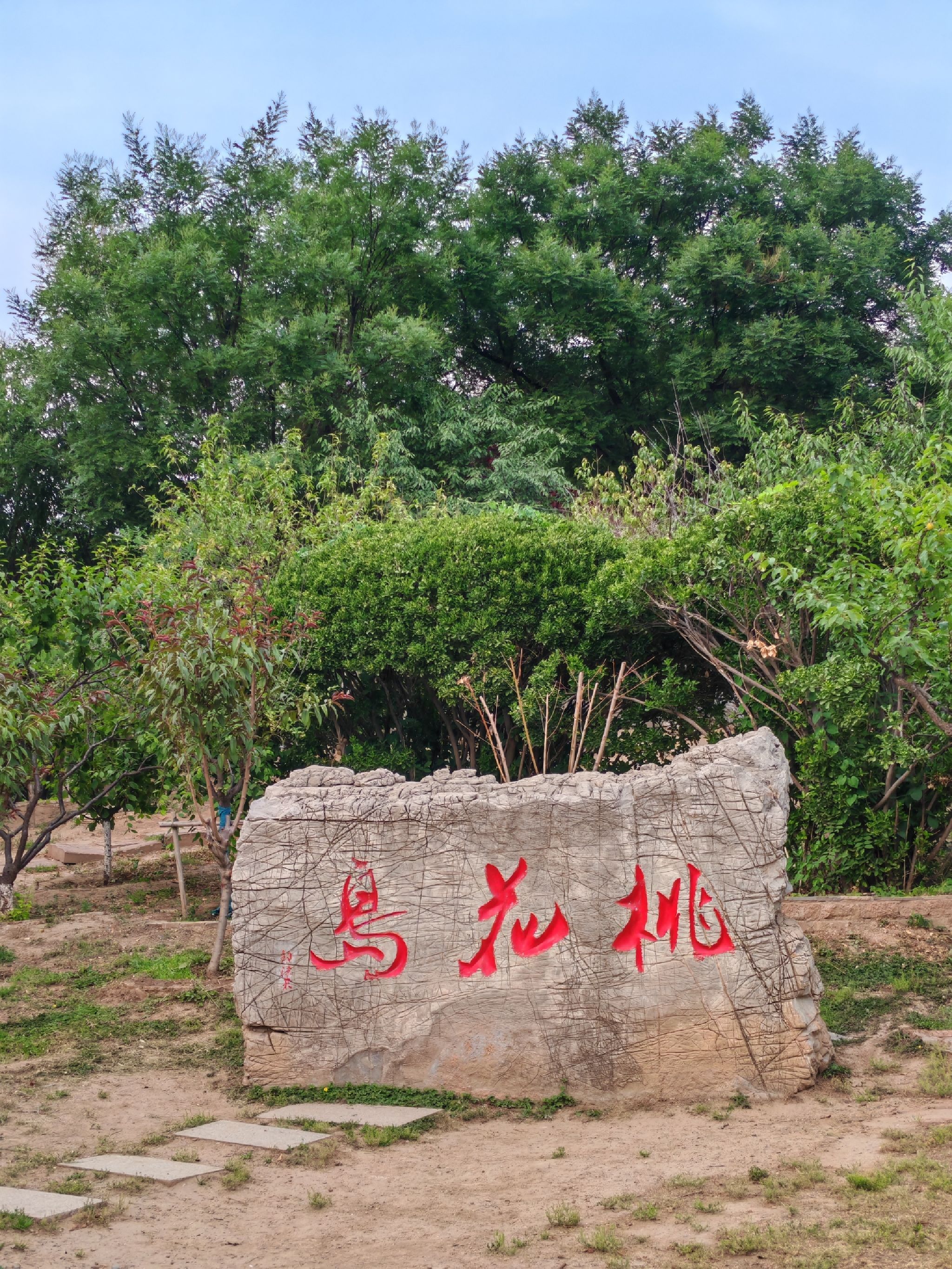 二宫公园旅行图片 2