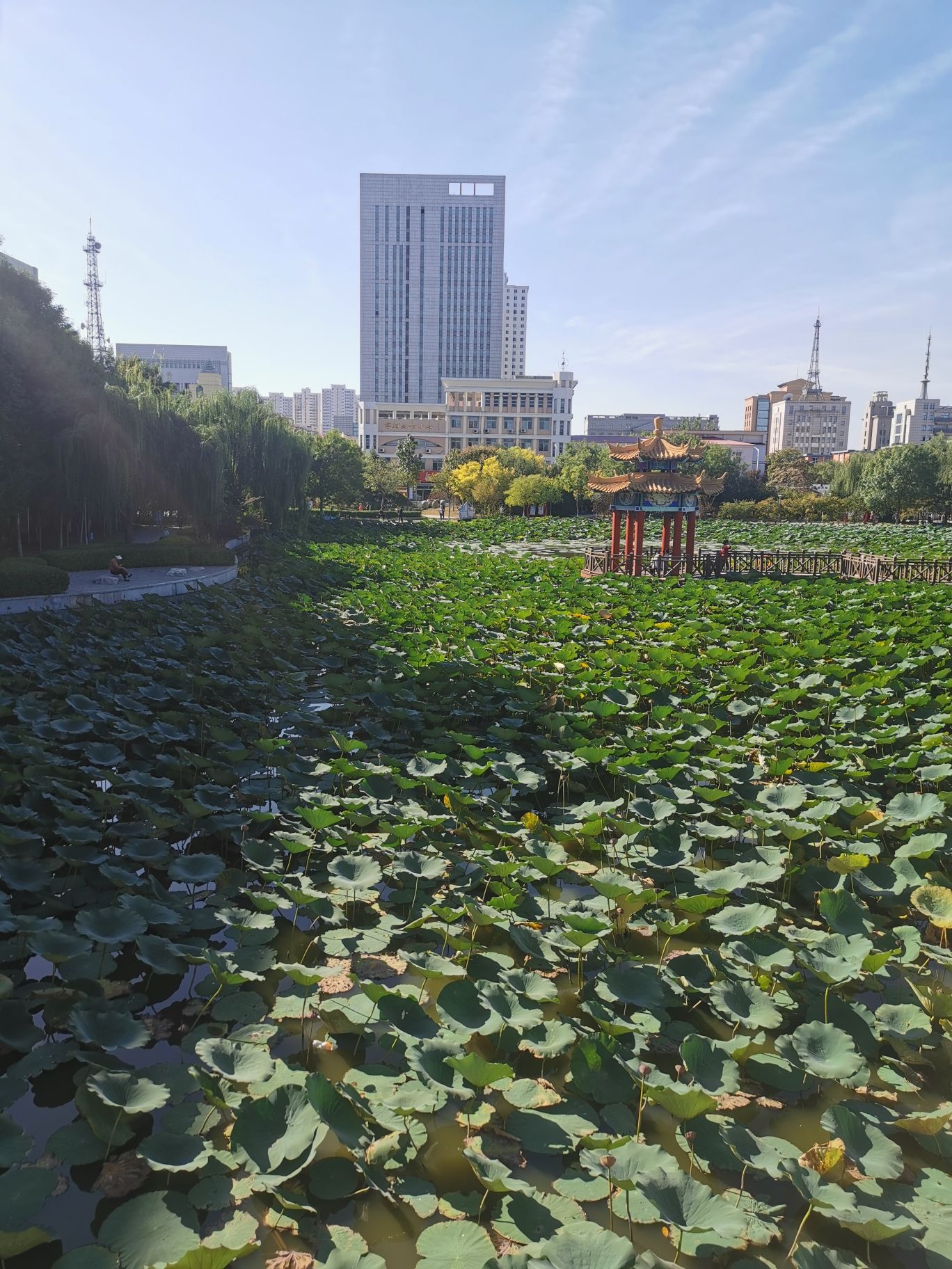 方舟公园旅行图片 2