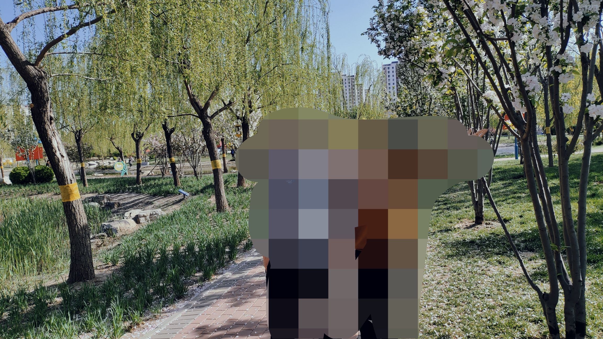 西苑公园旅行图片 3