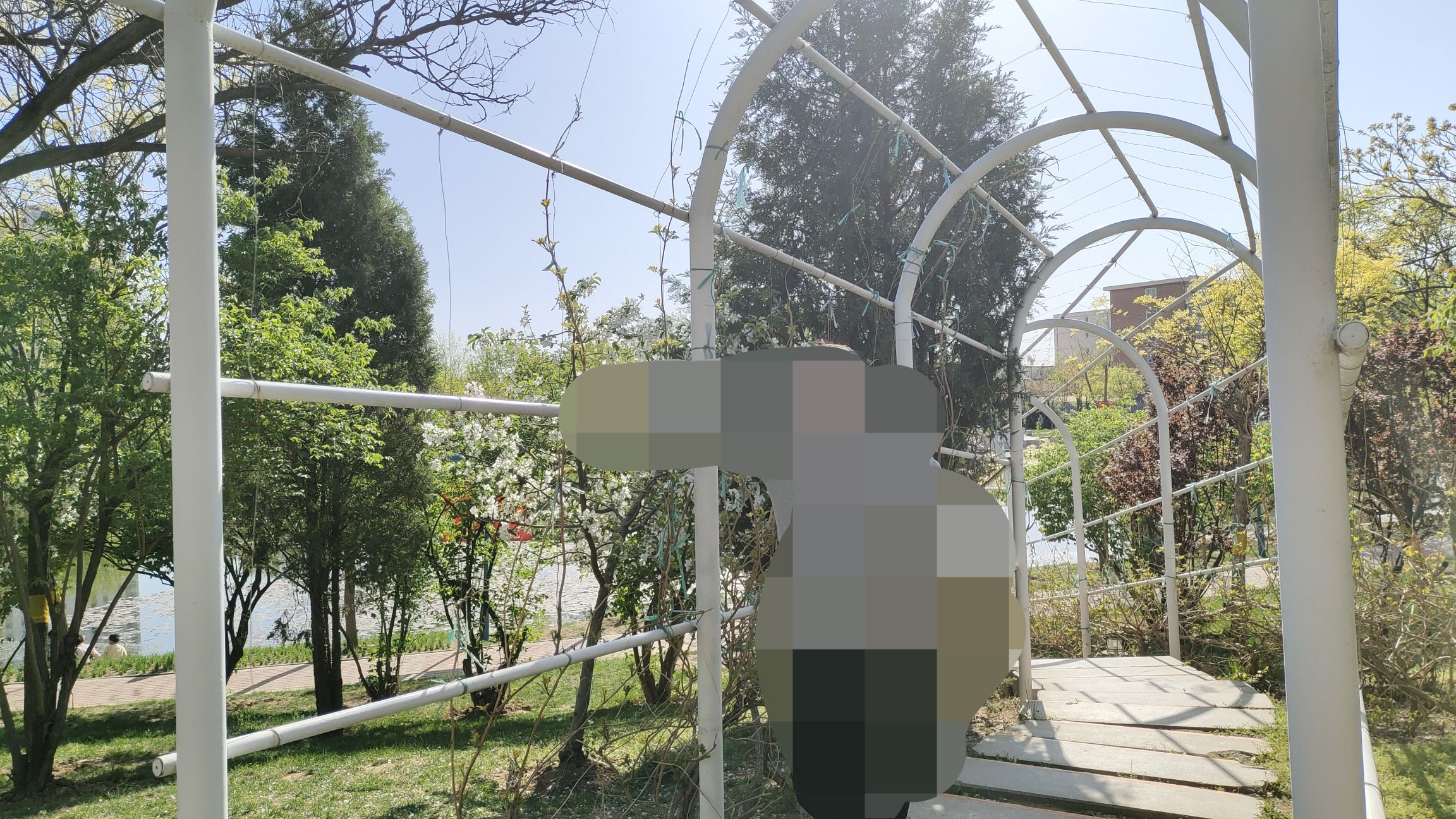 西苑公园旅行图片 2