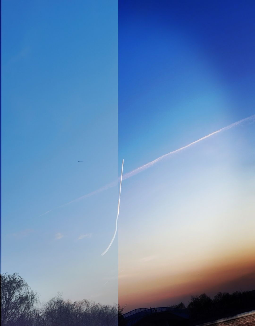 西苑公园旅行图片 1