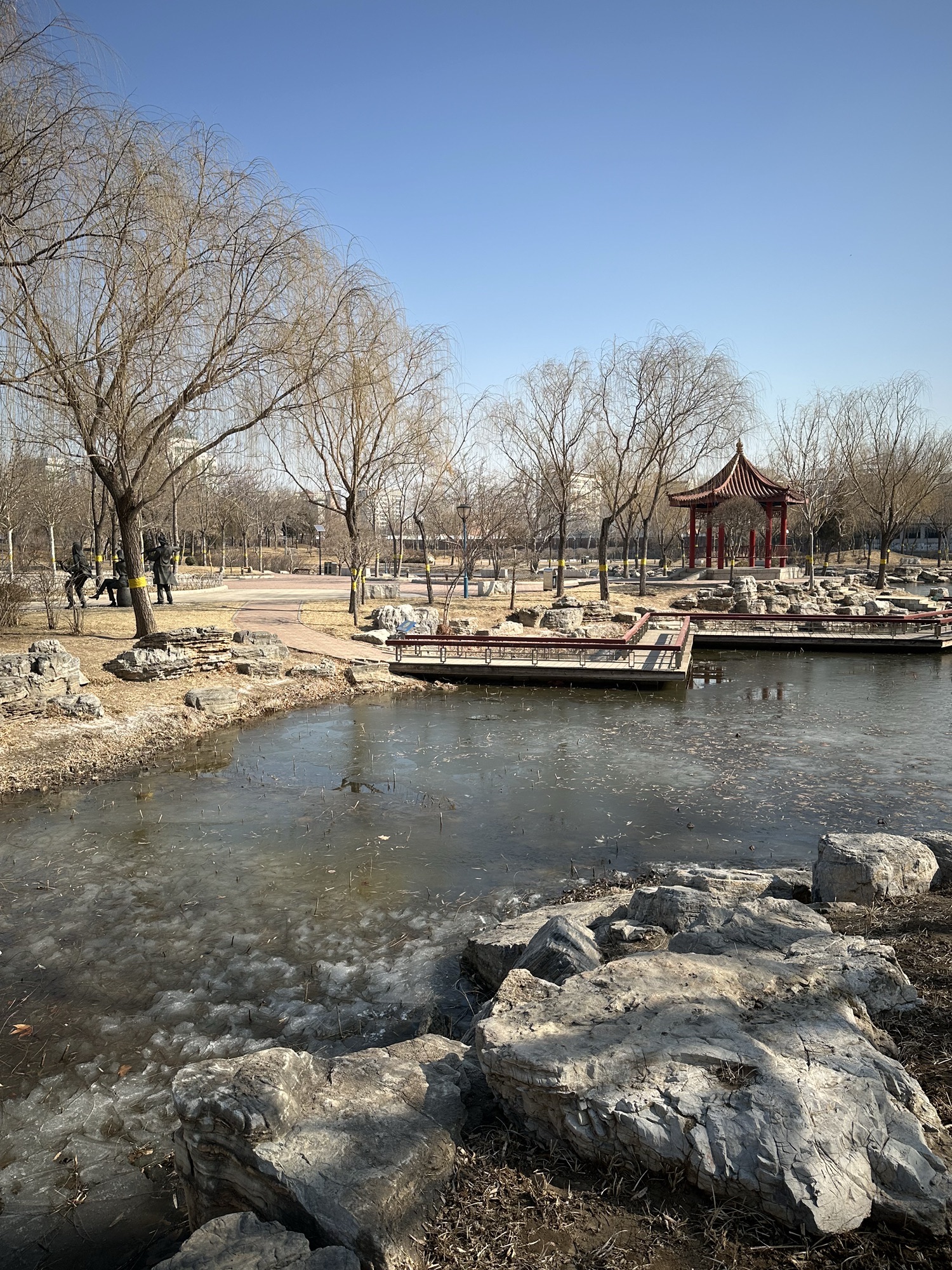 西苑公园旅行图片 3