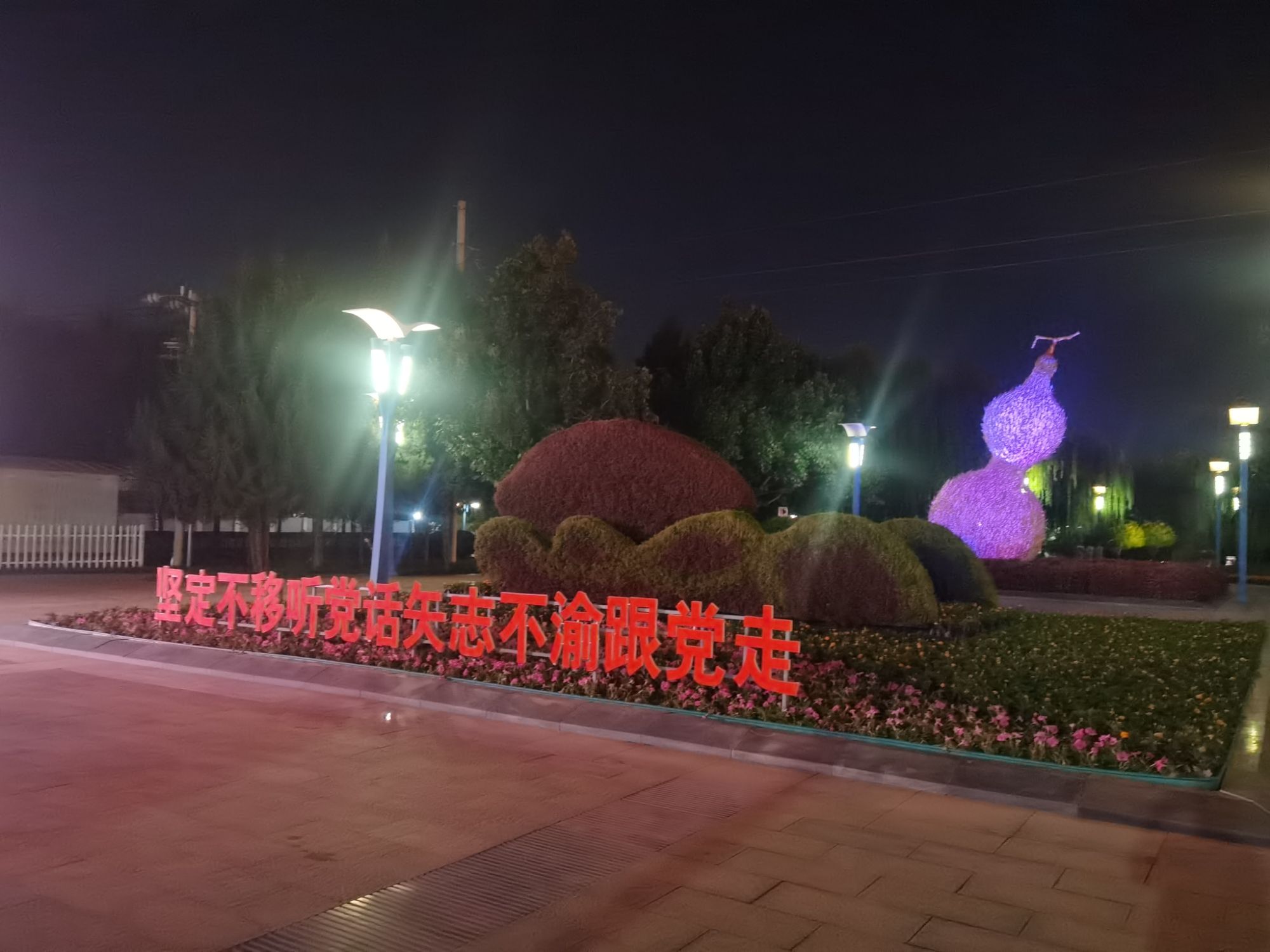 西苑公园旅行图片 2