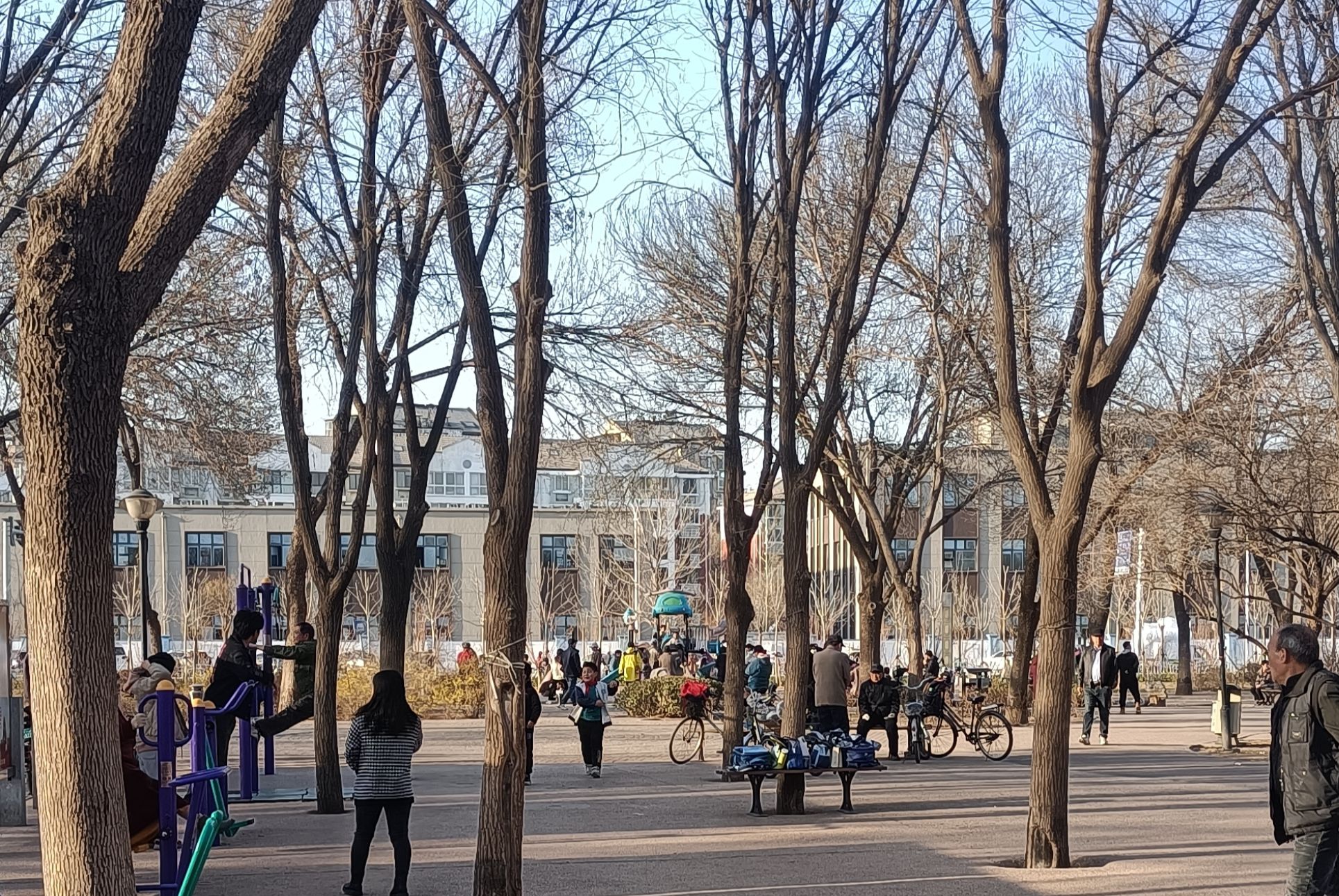 珠江公园旅行图片 1