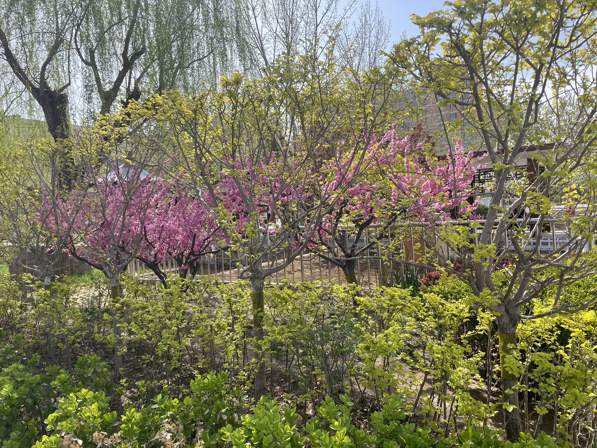 雍园旅行图片 2