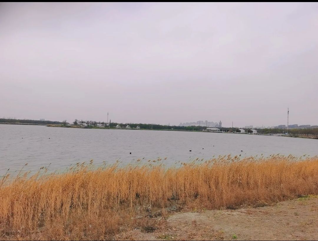 运动主题公园旅行图片 2