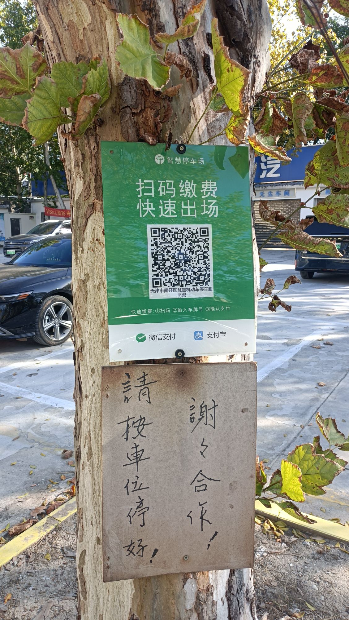 天津动物园旅行图片 3
