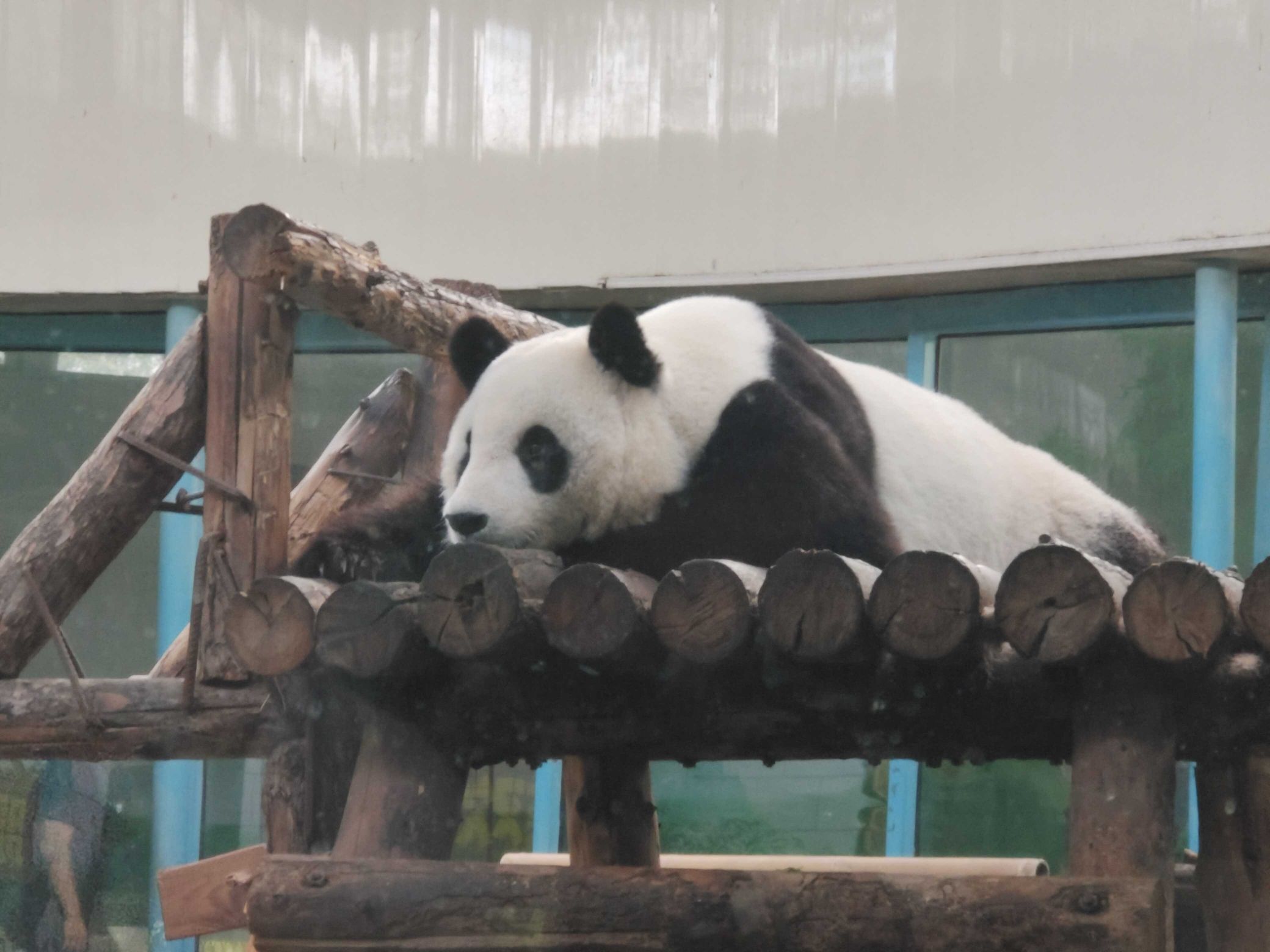 天津动物园旅行图片 1