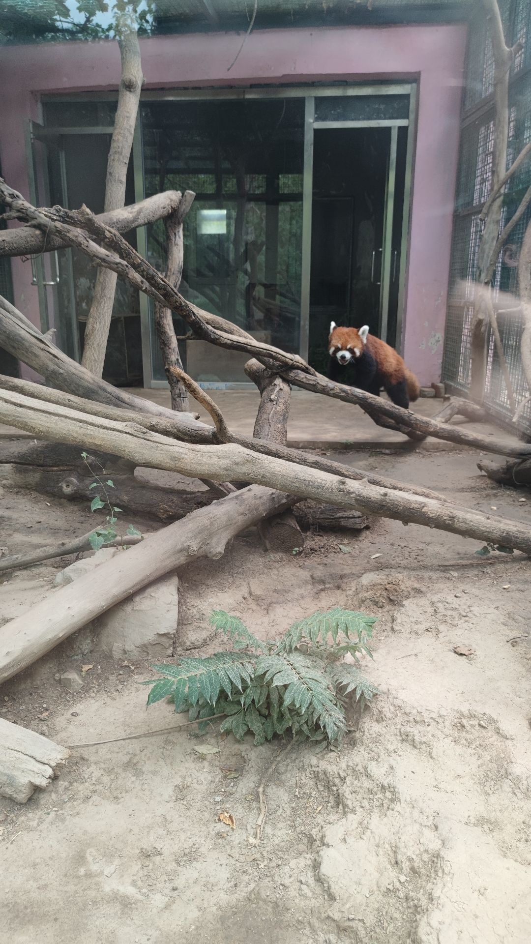 天津动物园旅行图片 2