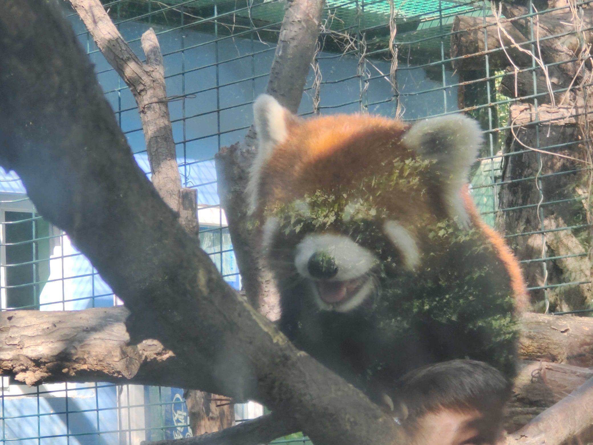 天津动物园旅行图片 2