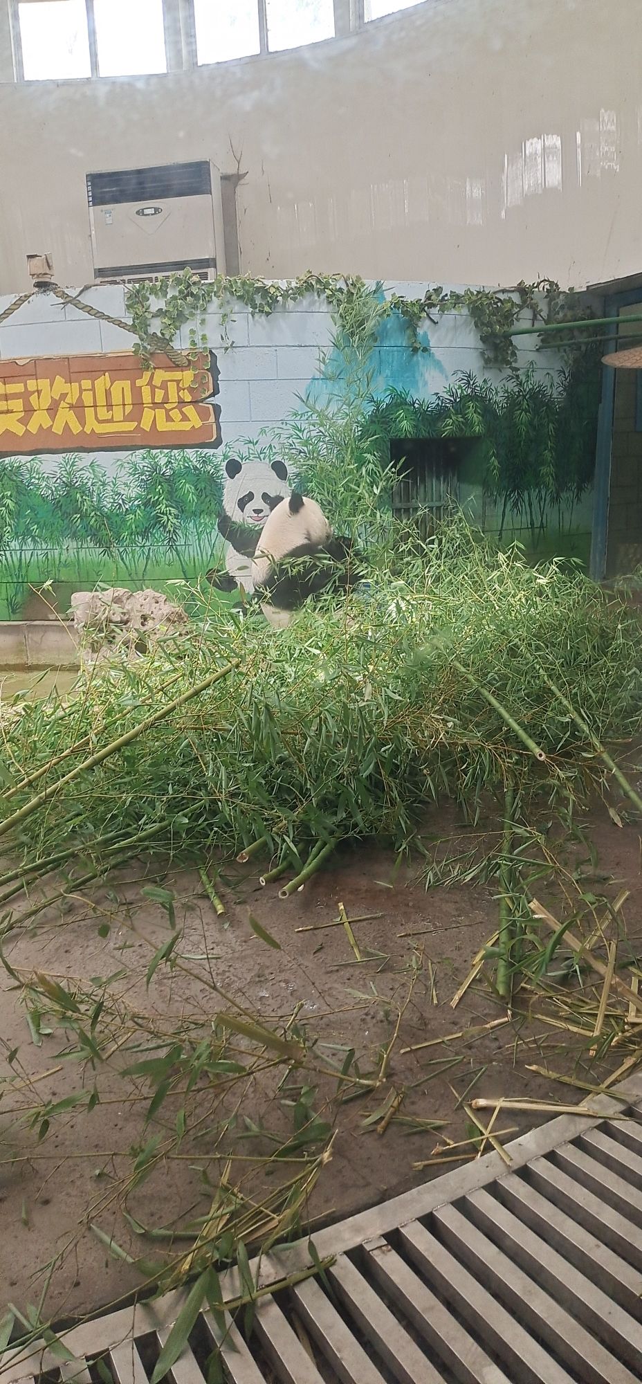 天津动物园旅行图片 2