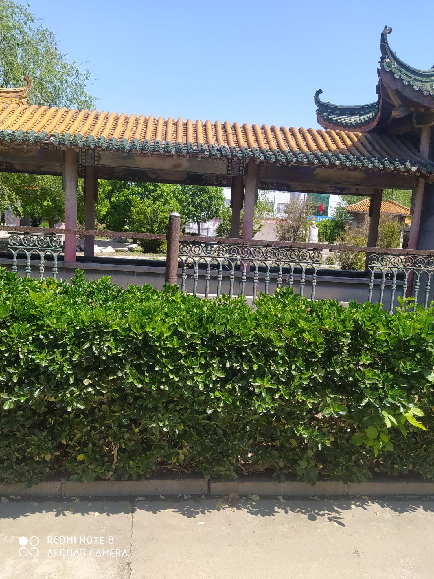 舜日公园旅行图片 1