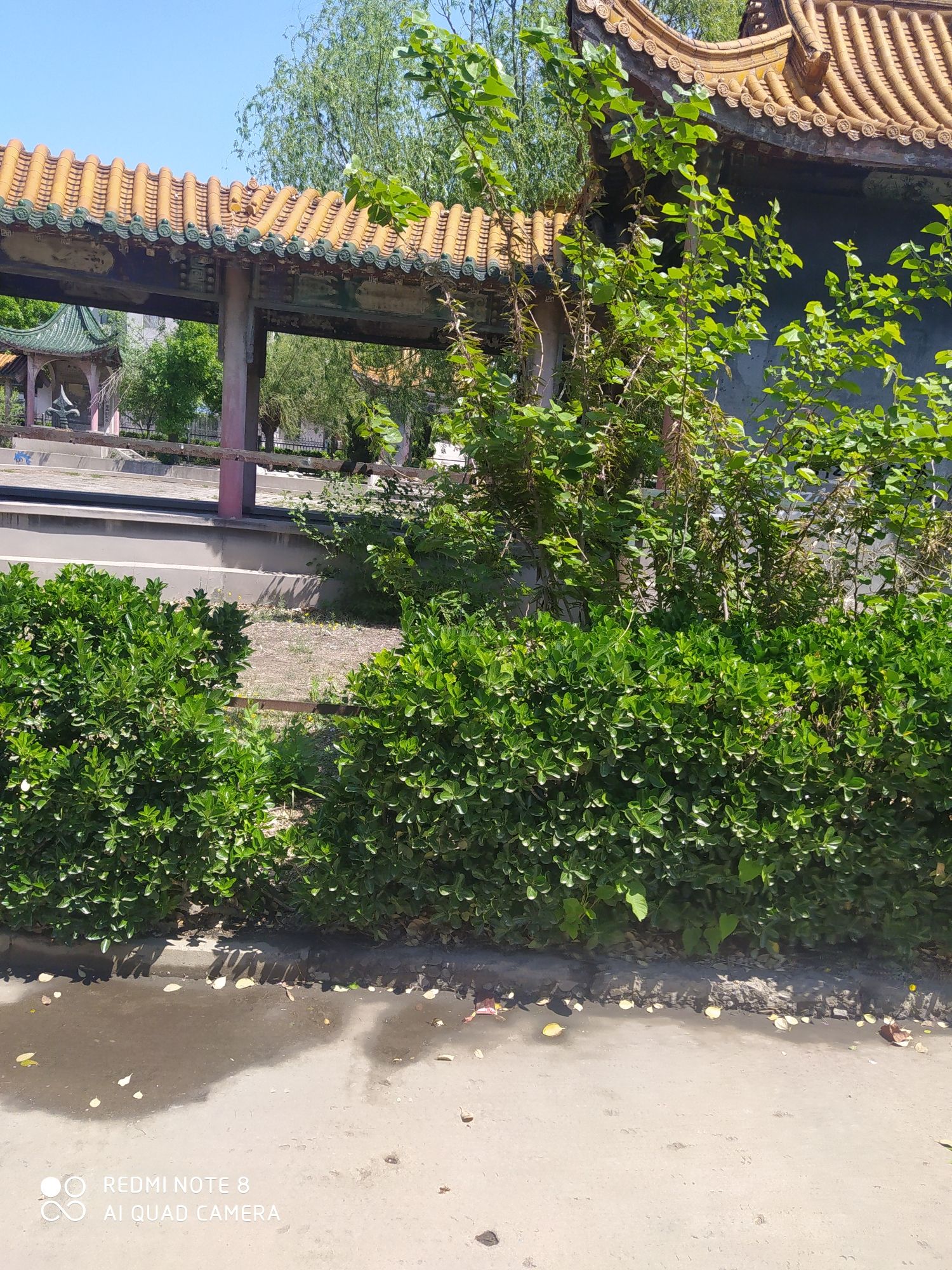 舜日公园旅行图片 2