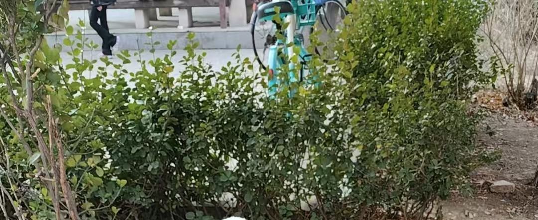 风湖公园旅行图片 3