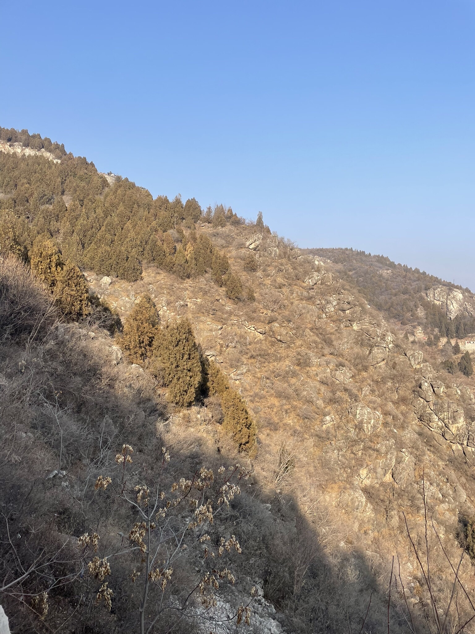 府君山公园旅行图片 3