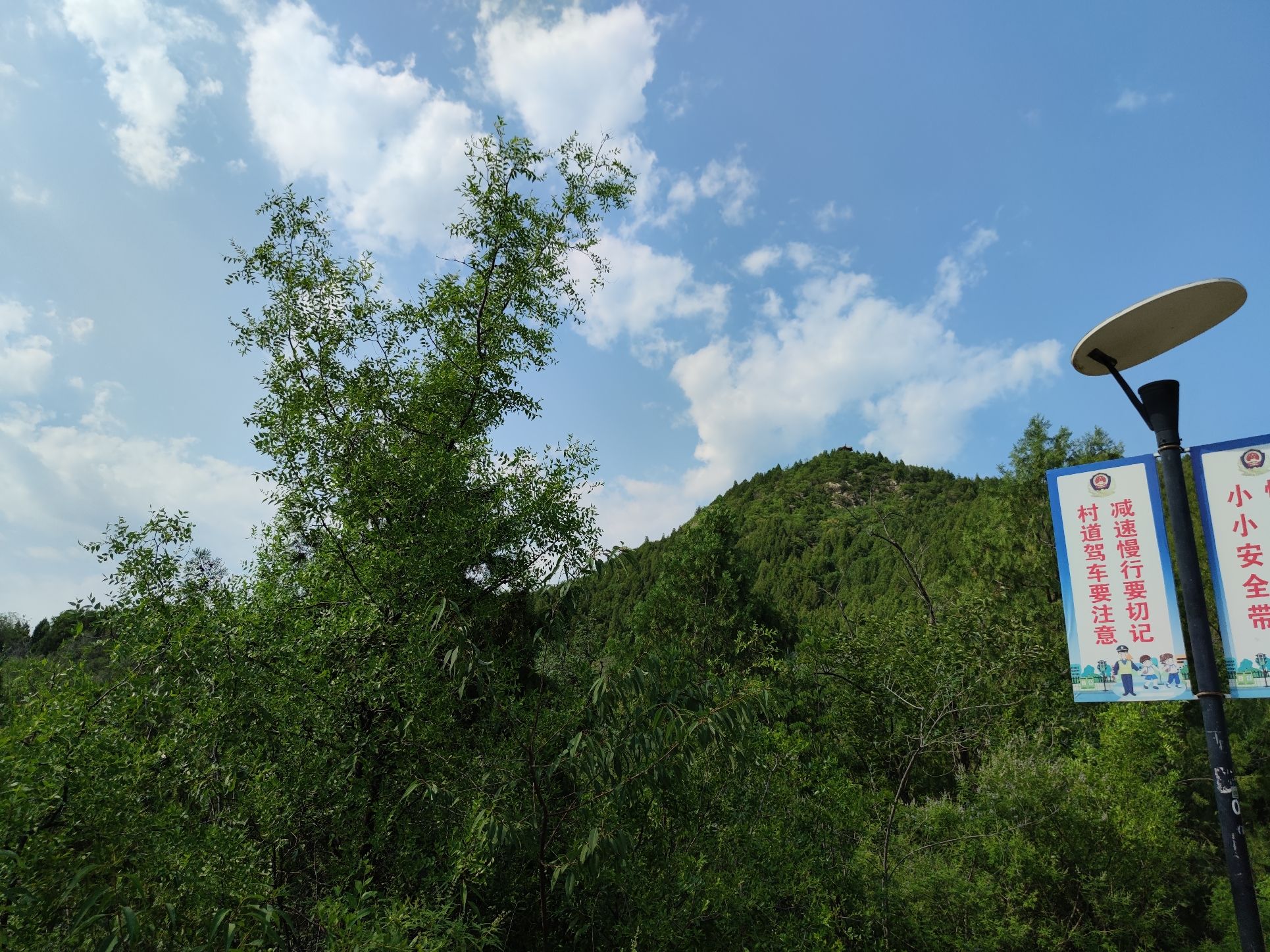 府君山公园旅行图片 2