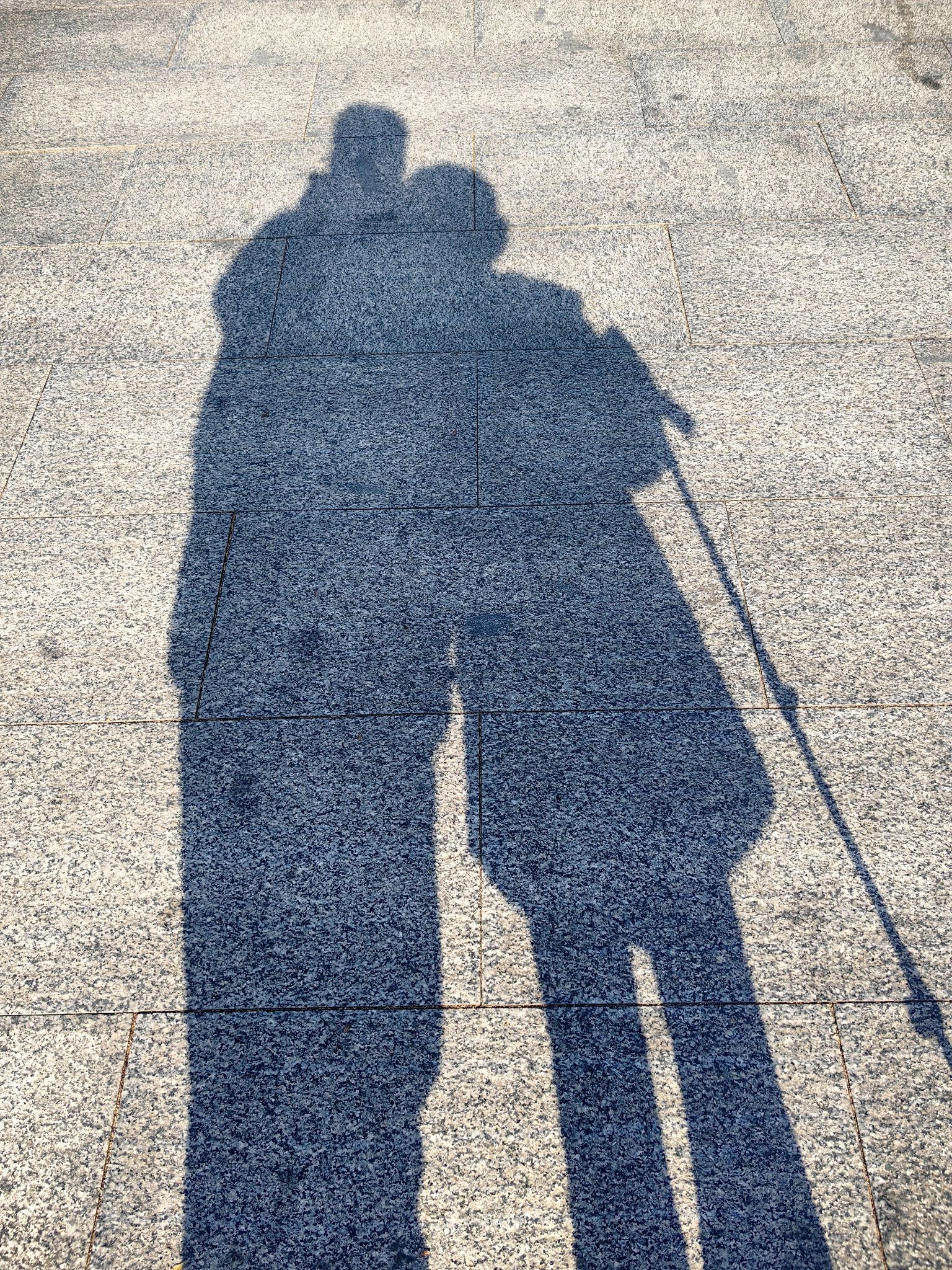 府君山公园旅行图片 2