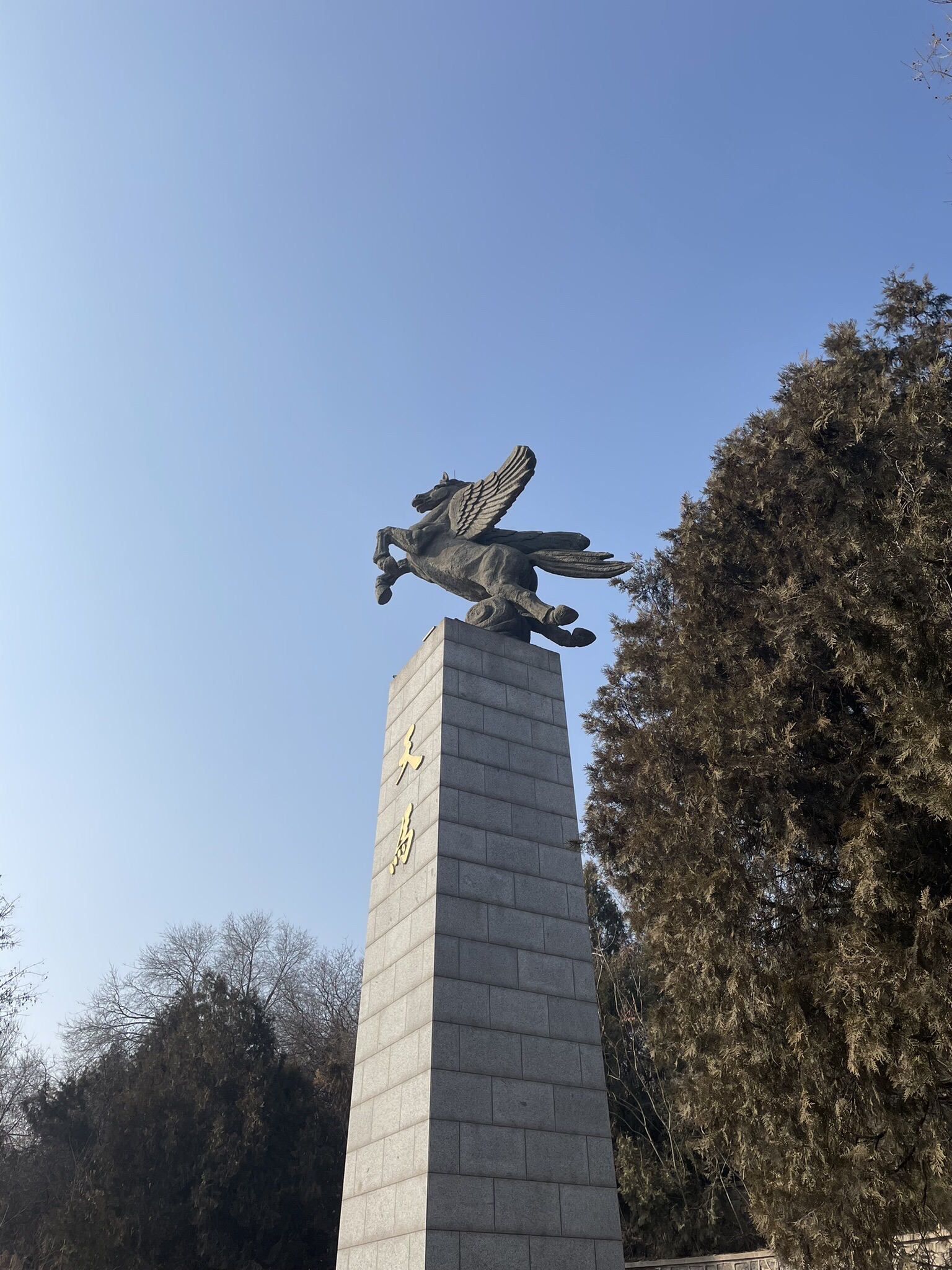 府君山公园旅行图片 1