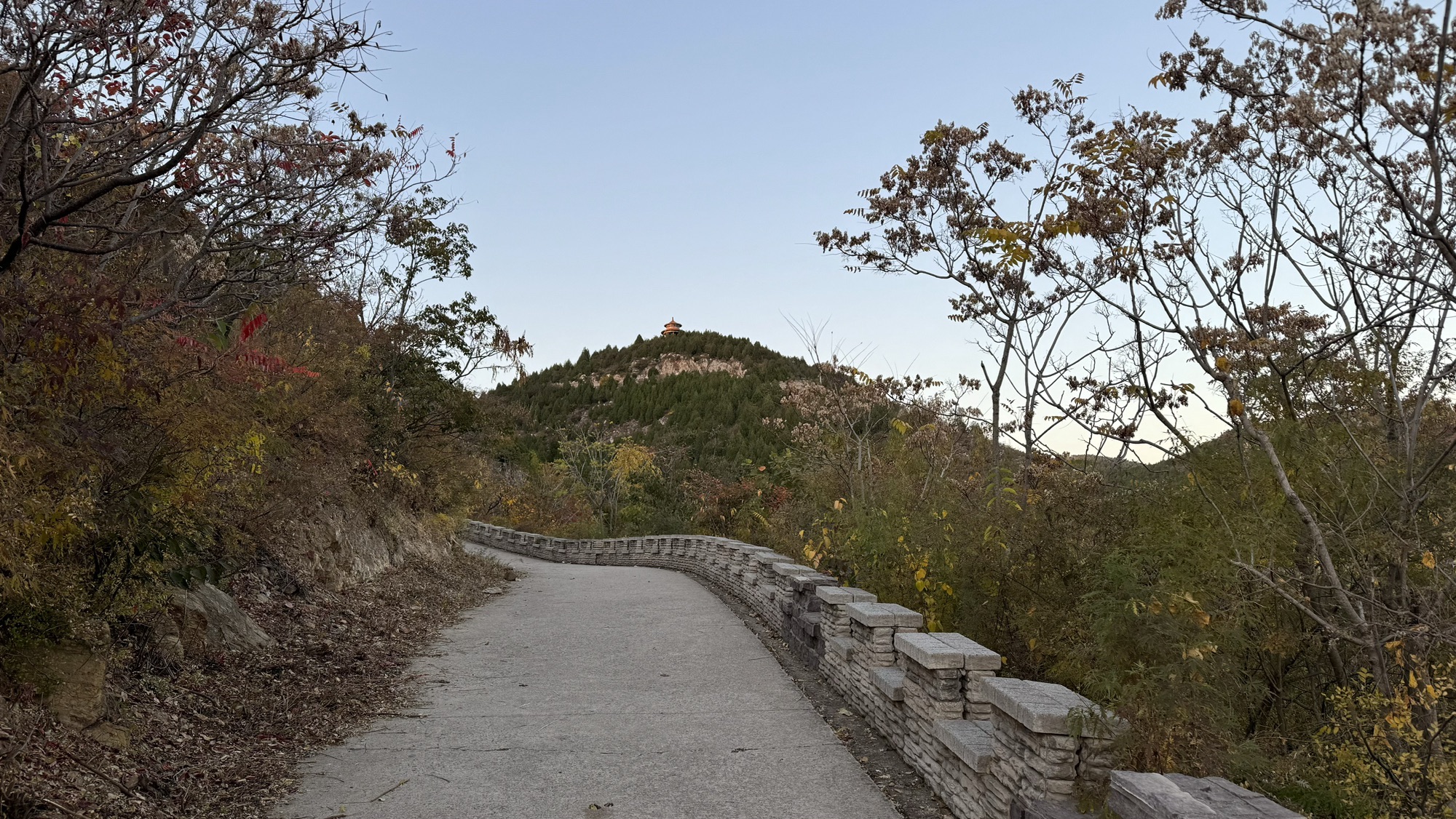 府君山公园旅行图片 3