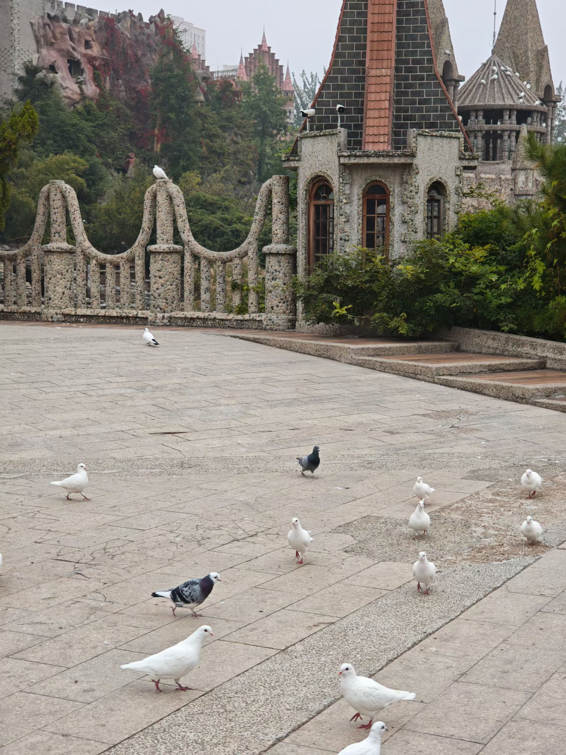 中华石园旅行图片 3