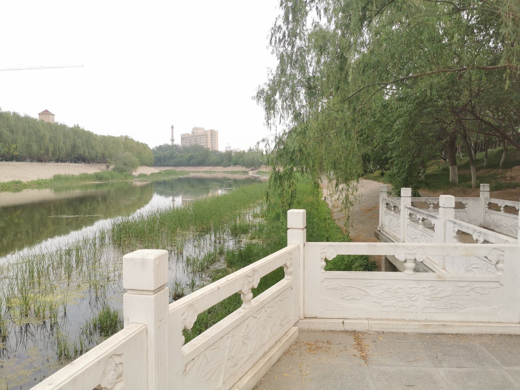 桃诗园旅行图片 1