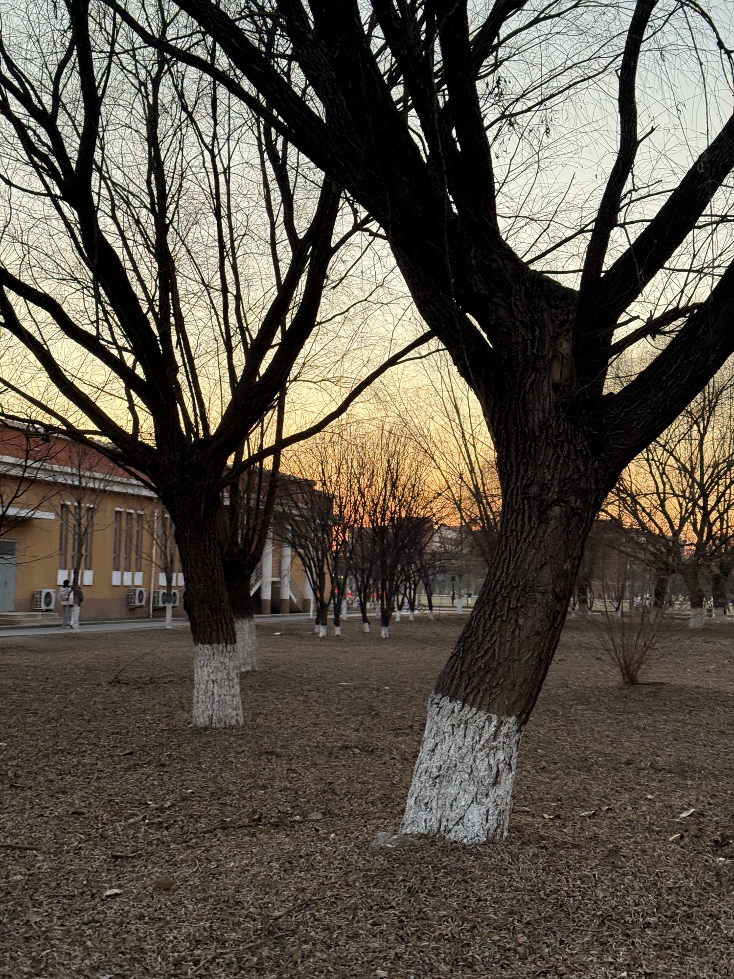 北京科技大学天津学院