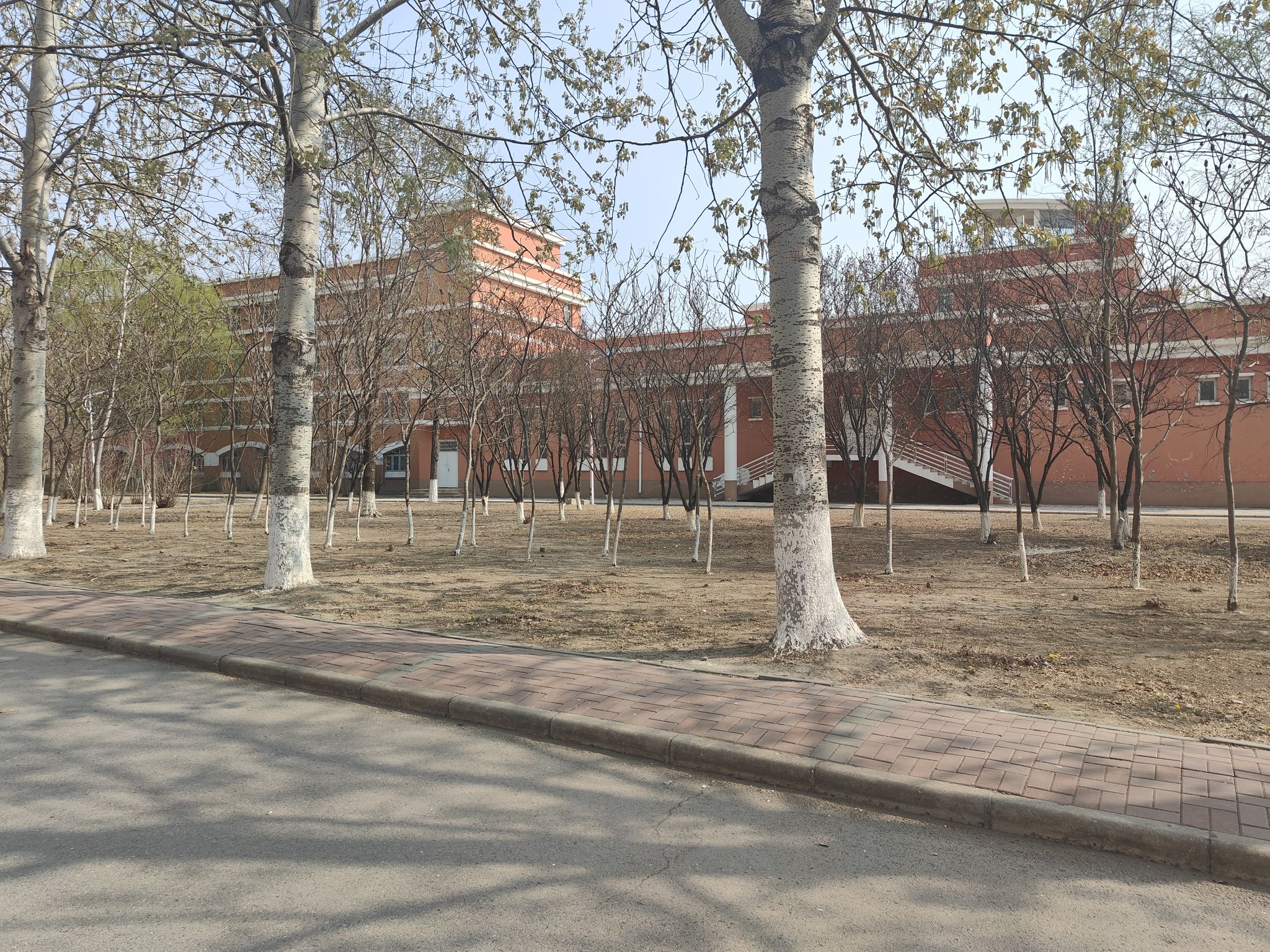 北京科技大学天津学院