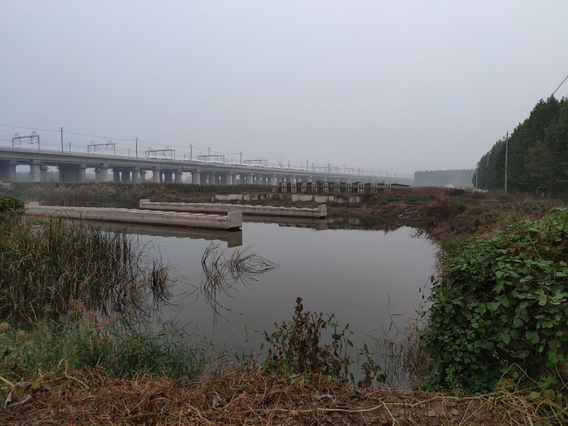 市民公园旅行图片 1