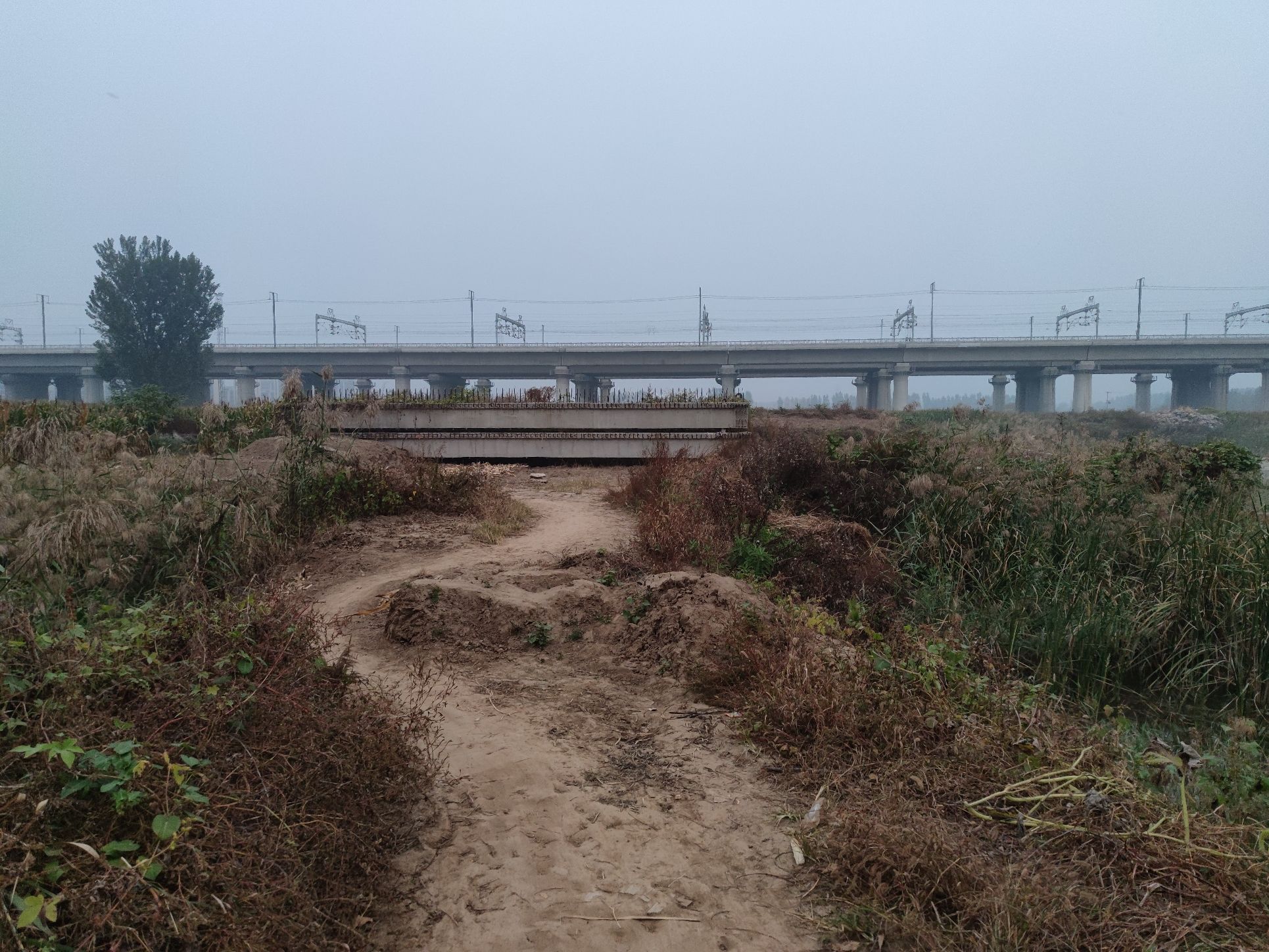 市民公园旅行图片 2