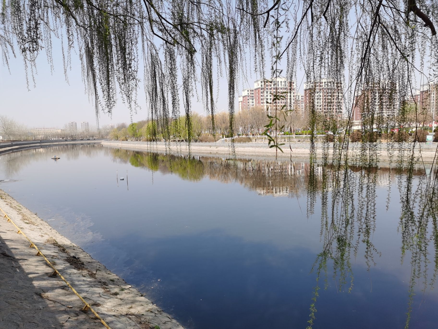 双龙滨河公园旅行图片 1