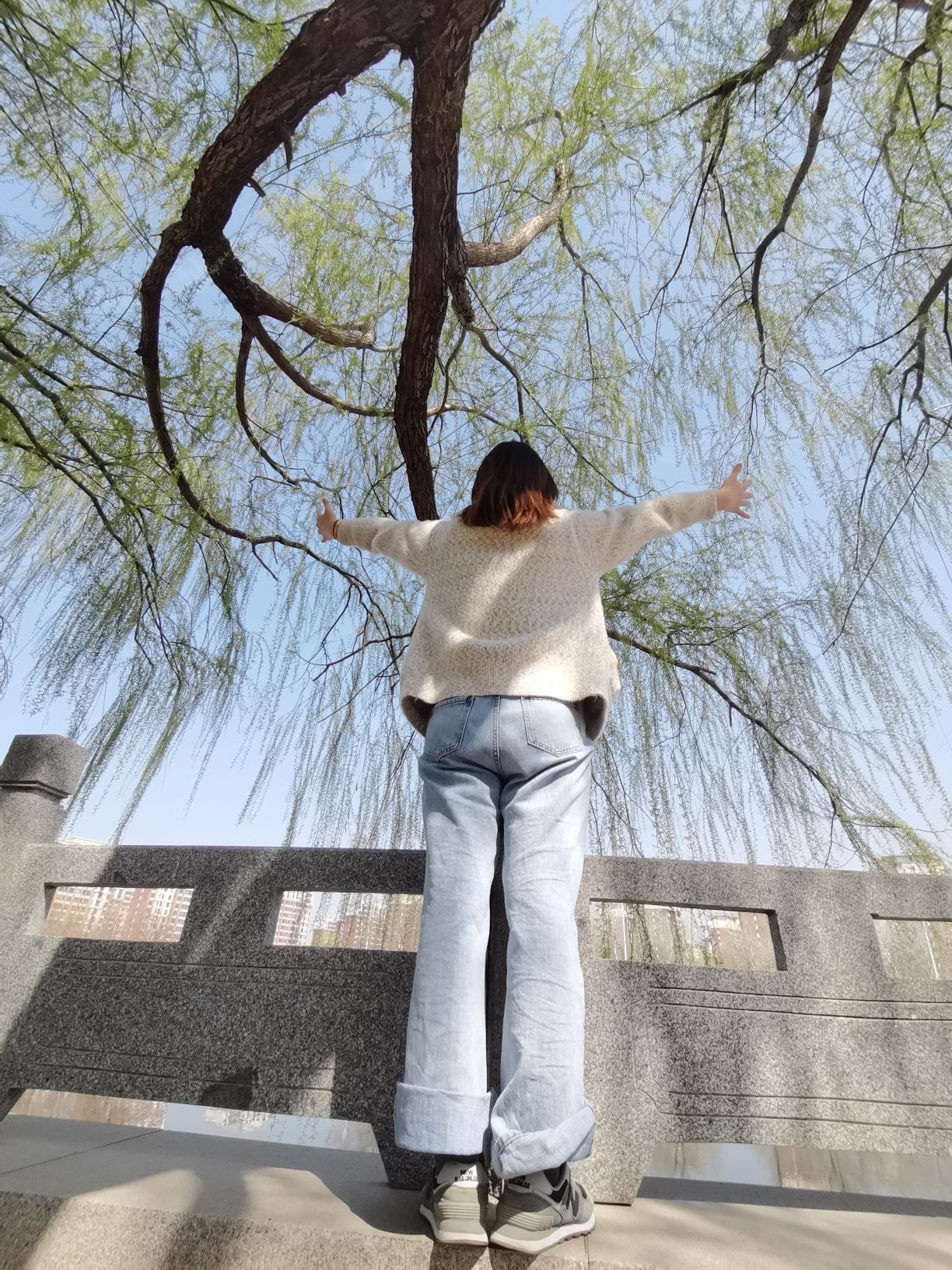 双龙滨河公园旅行图片 2