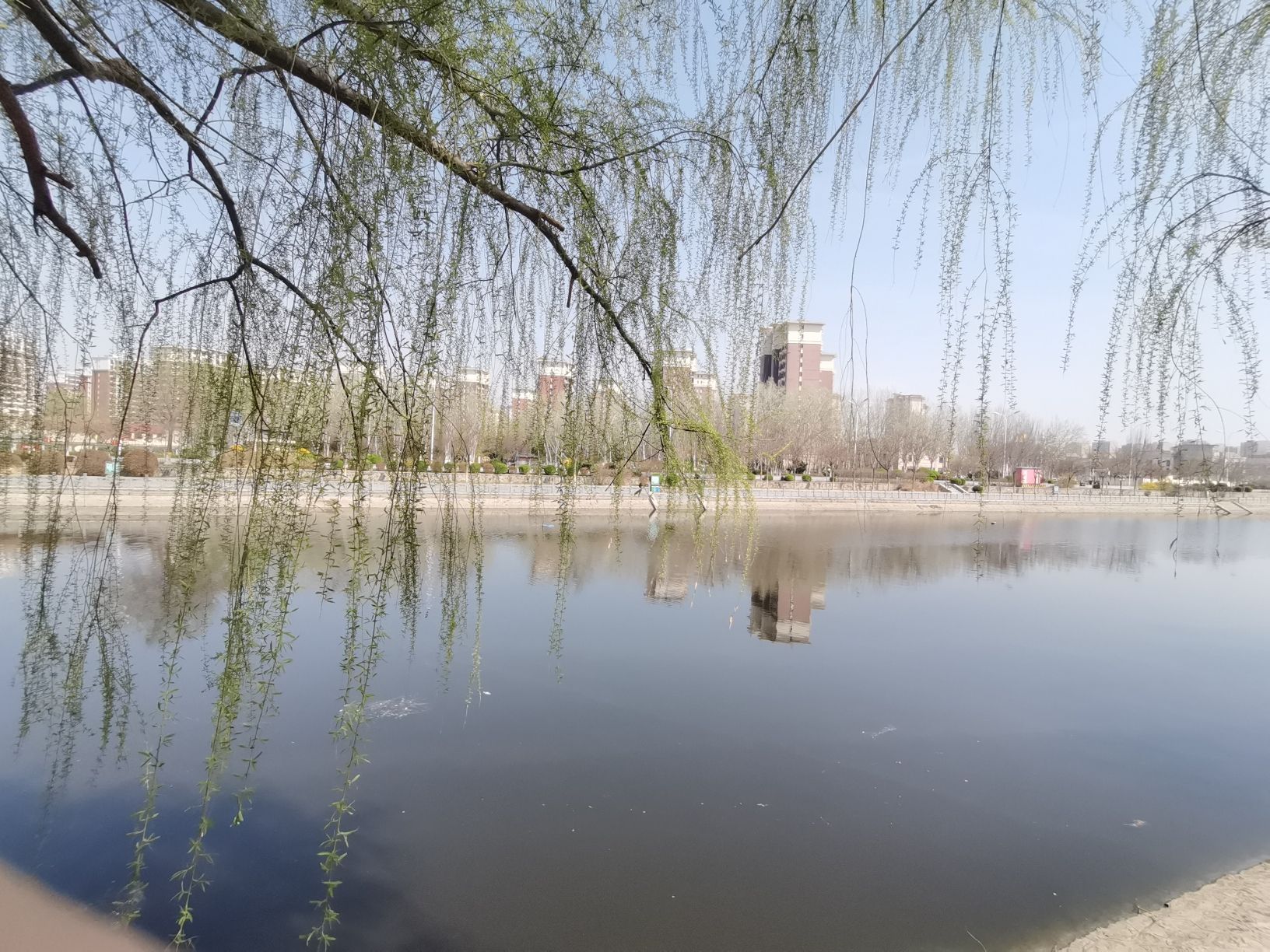 双龙滨河公园旅行图片 3