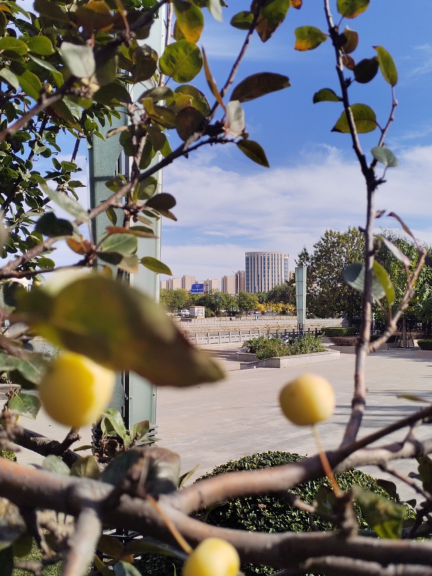 双龙滨河公园旅行图片 1