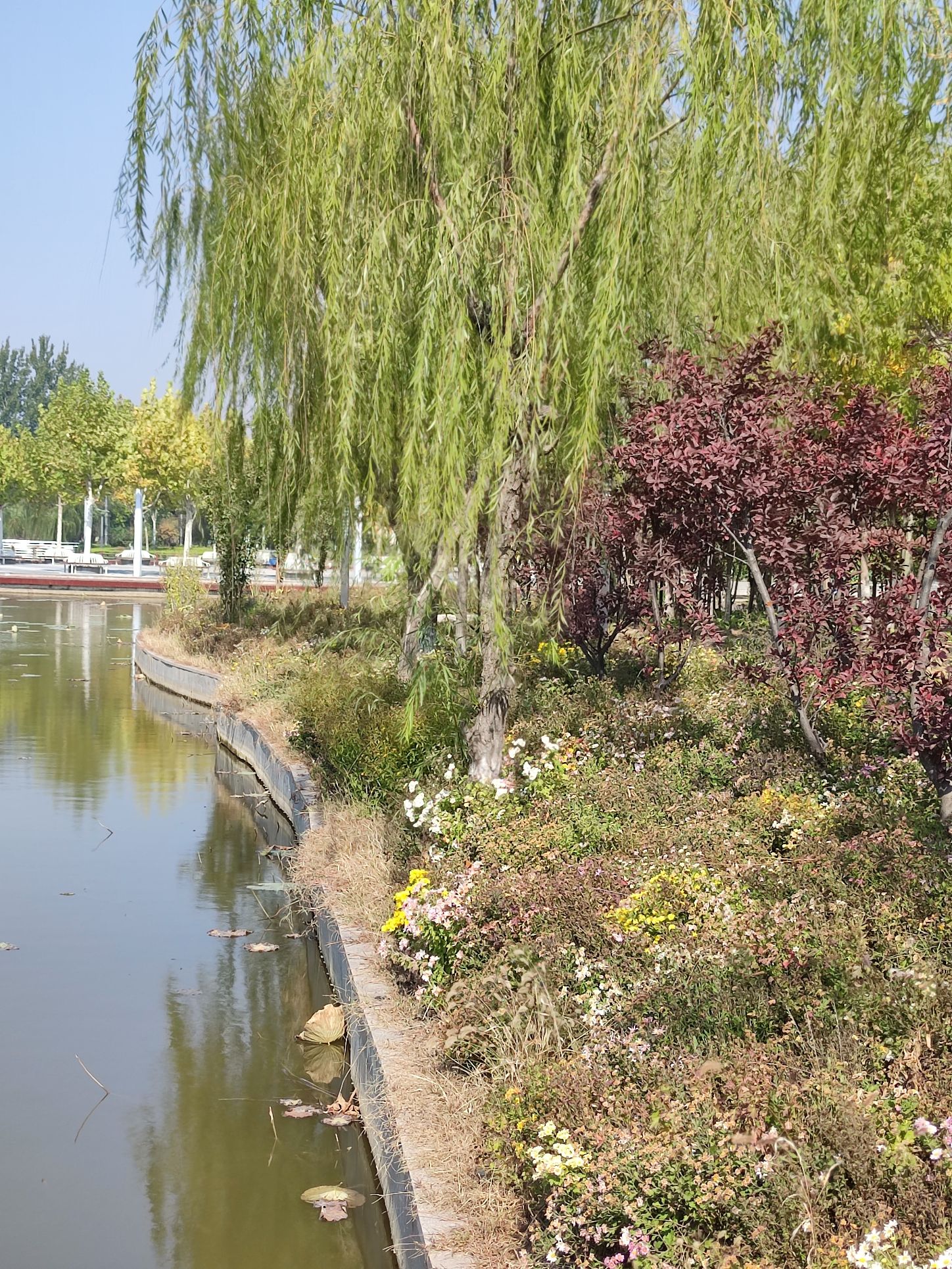 华翠公园旅行图片 3