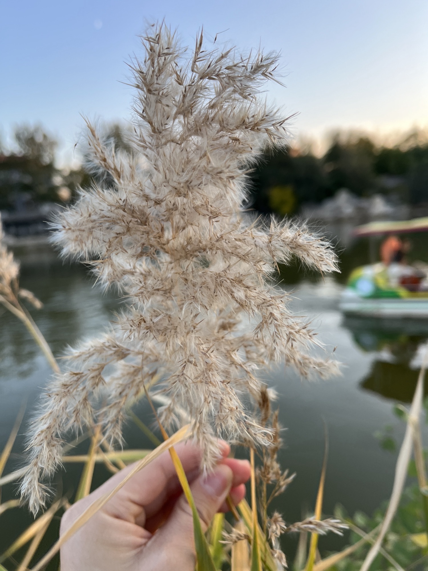 长虹生态园旅行图片 3