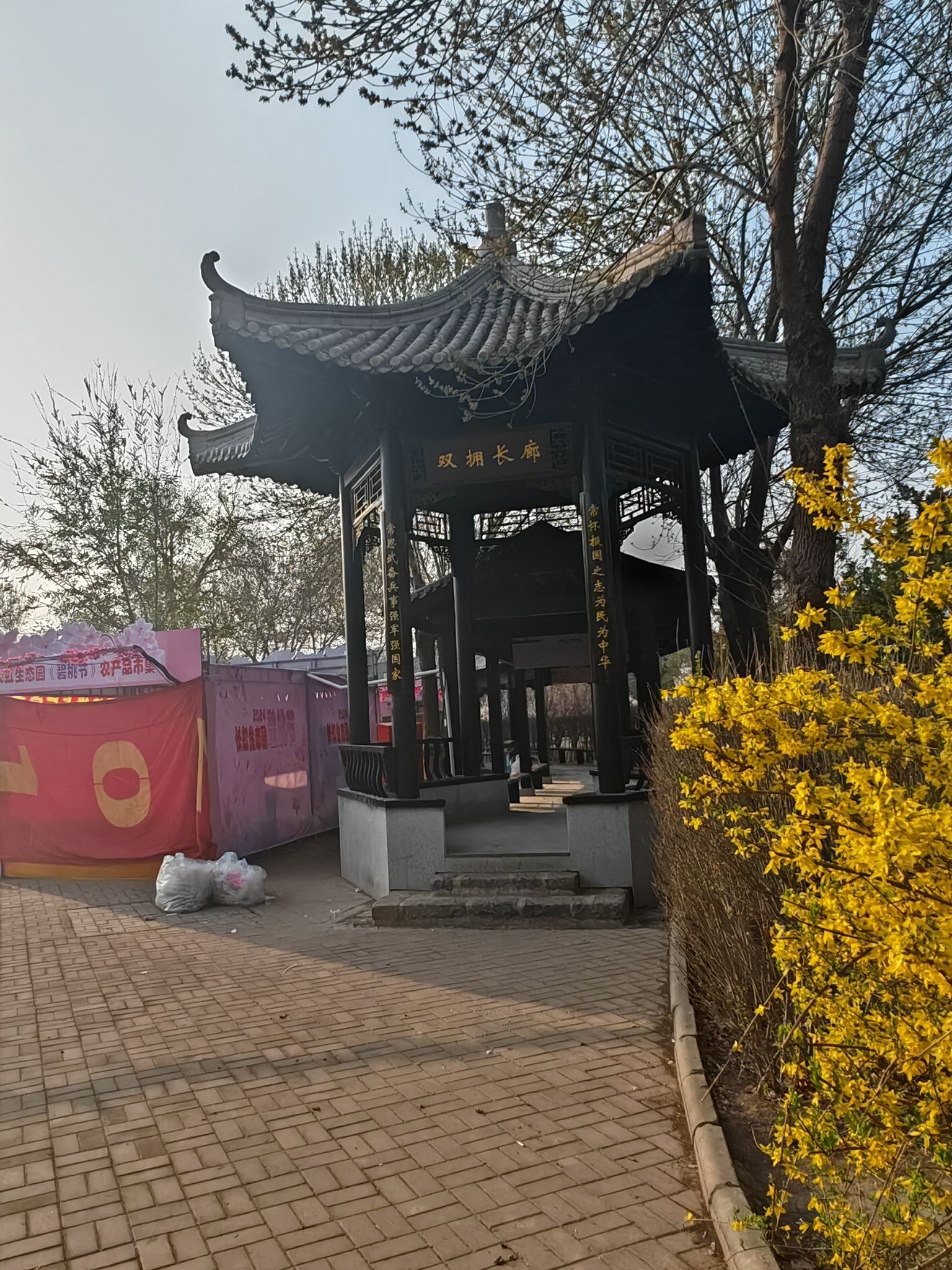 长虹生态园旅行图片 2