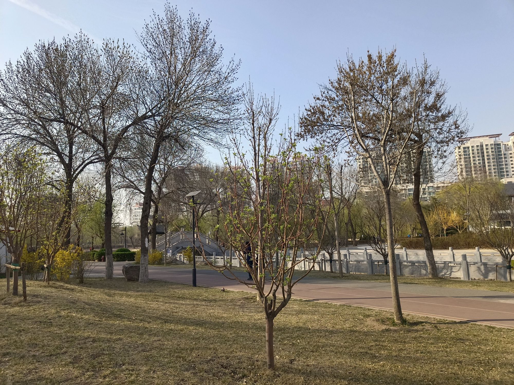长虹生态园旅行图片 2