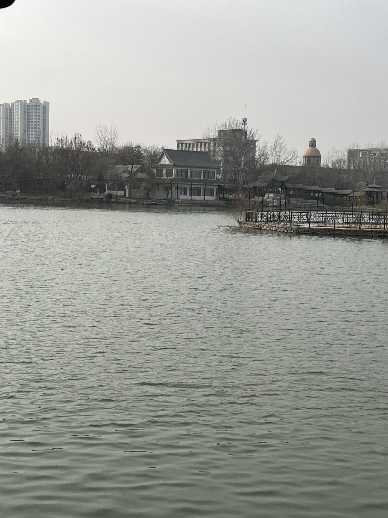 长虹生态园旅行图片 2
