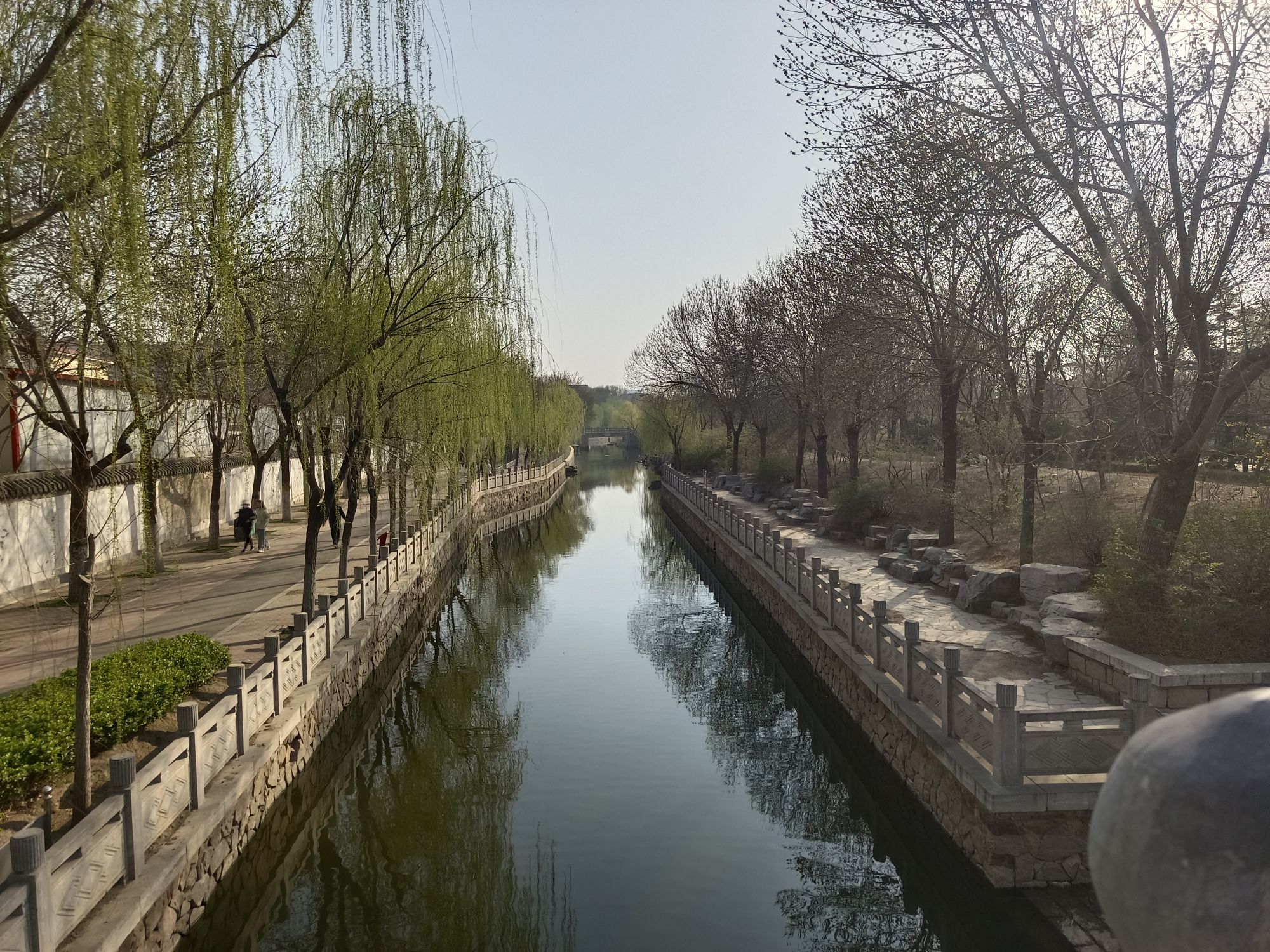 长虹生态园旅行图片 1