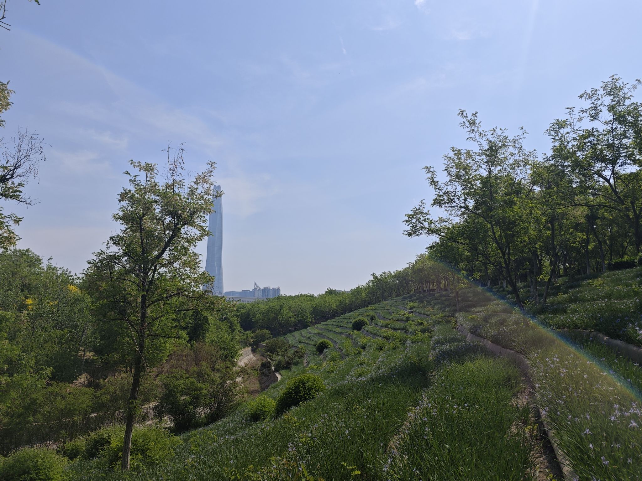 紫云公园旅行图片 3