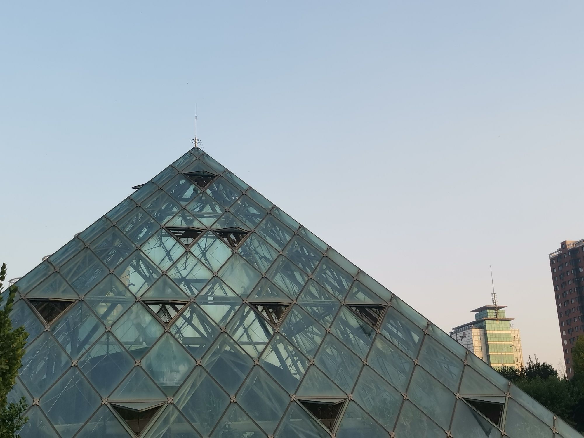 泰达热带植物园旅行图片 3