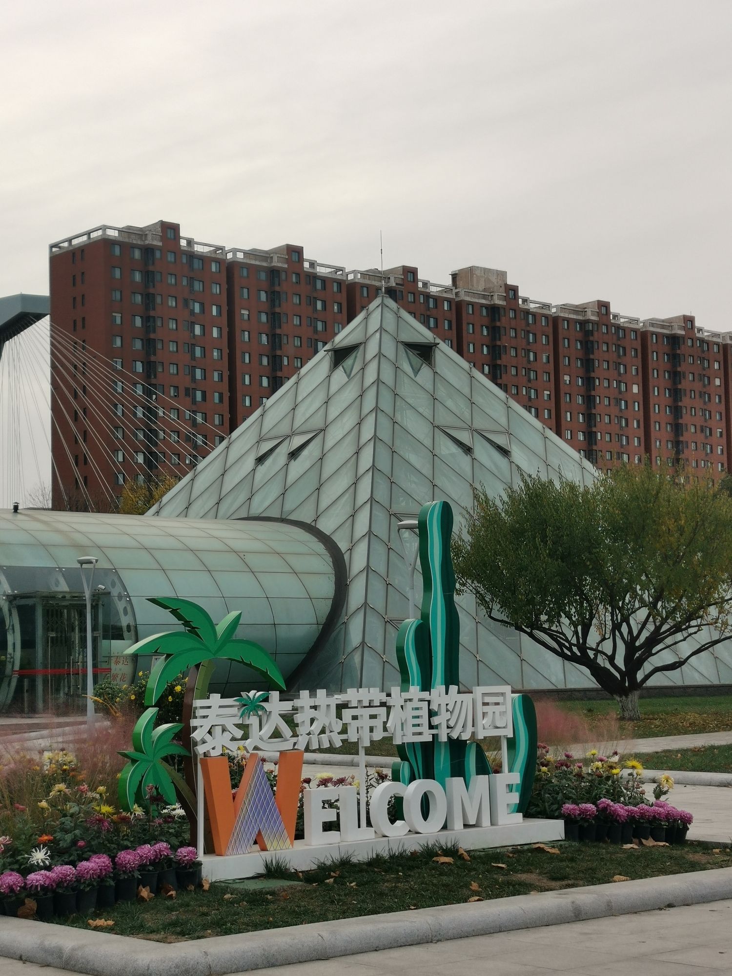 泰达热带植物园旅行图片 1