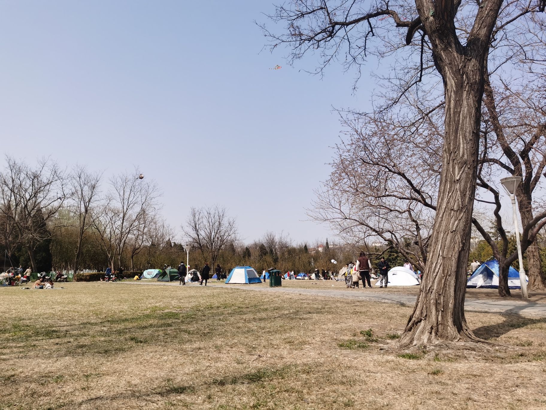 泰丰公园旅行图片 2