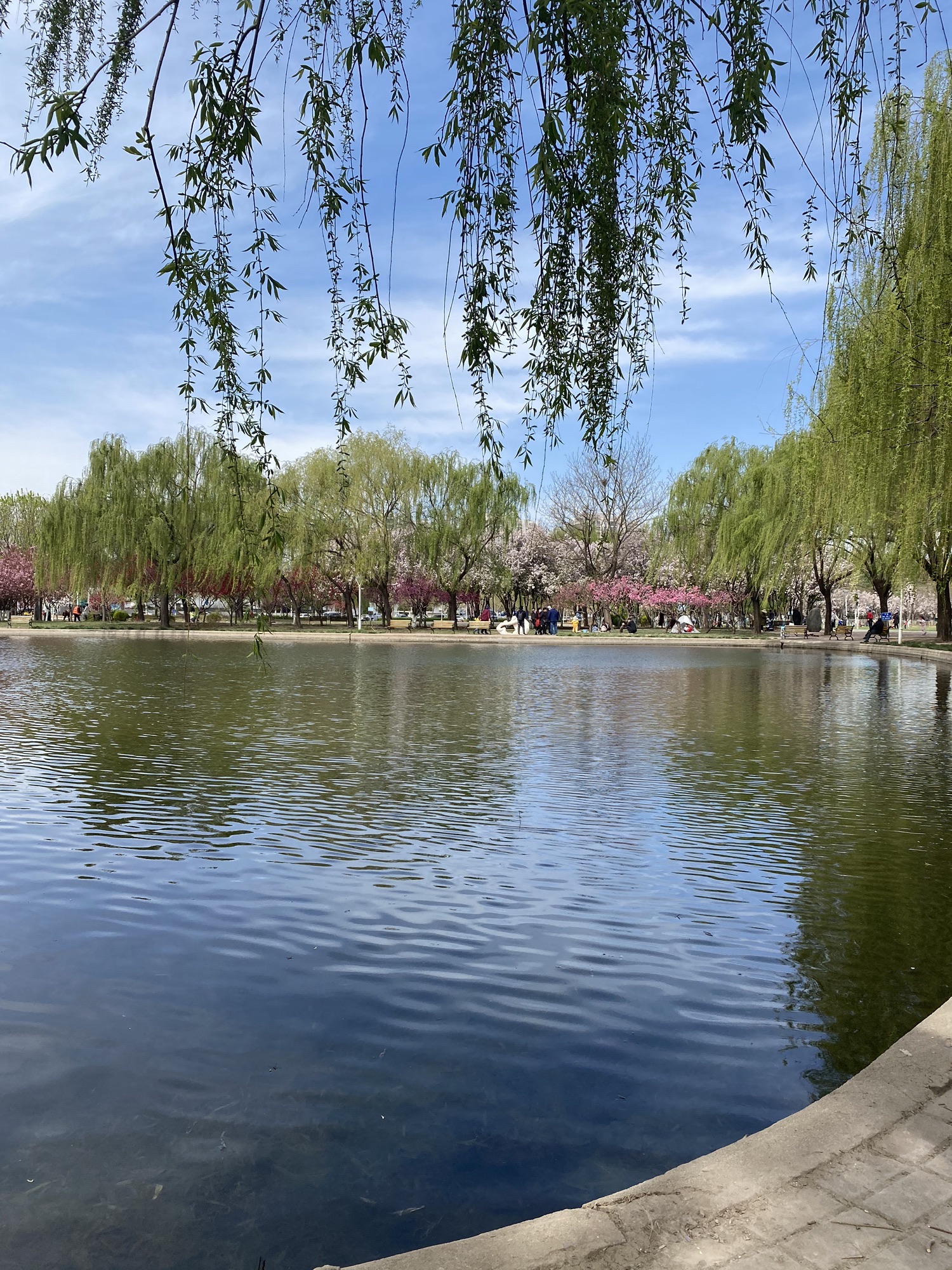 泰丰公园旅行图片 2
